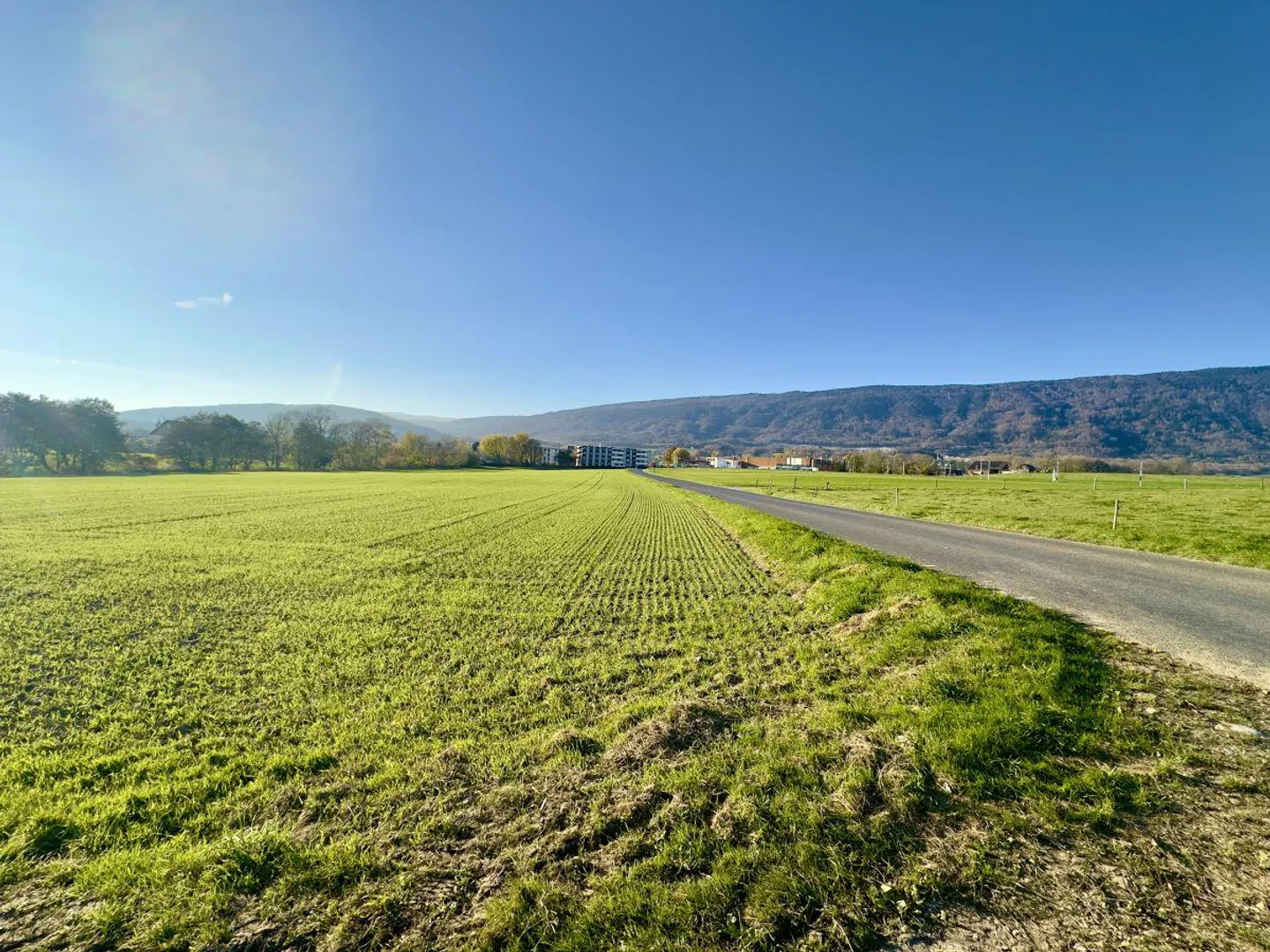 Magnificent 4.5-room apartment on the 1st floor - Lot B - Photo 6 of 6