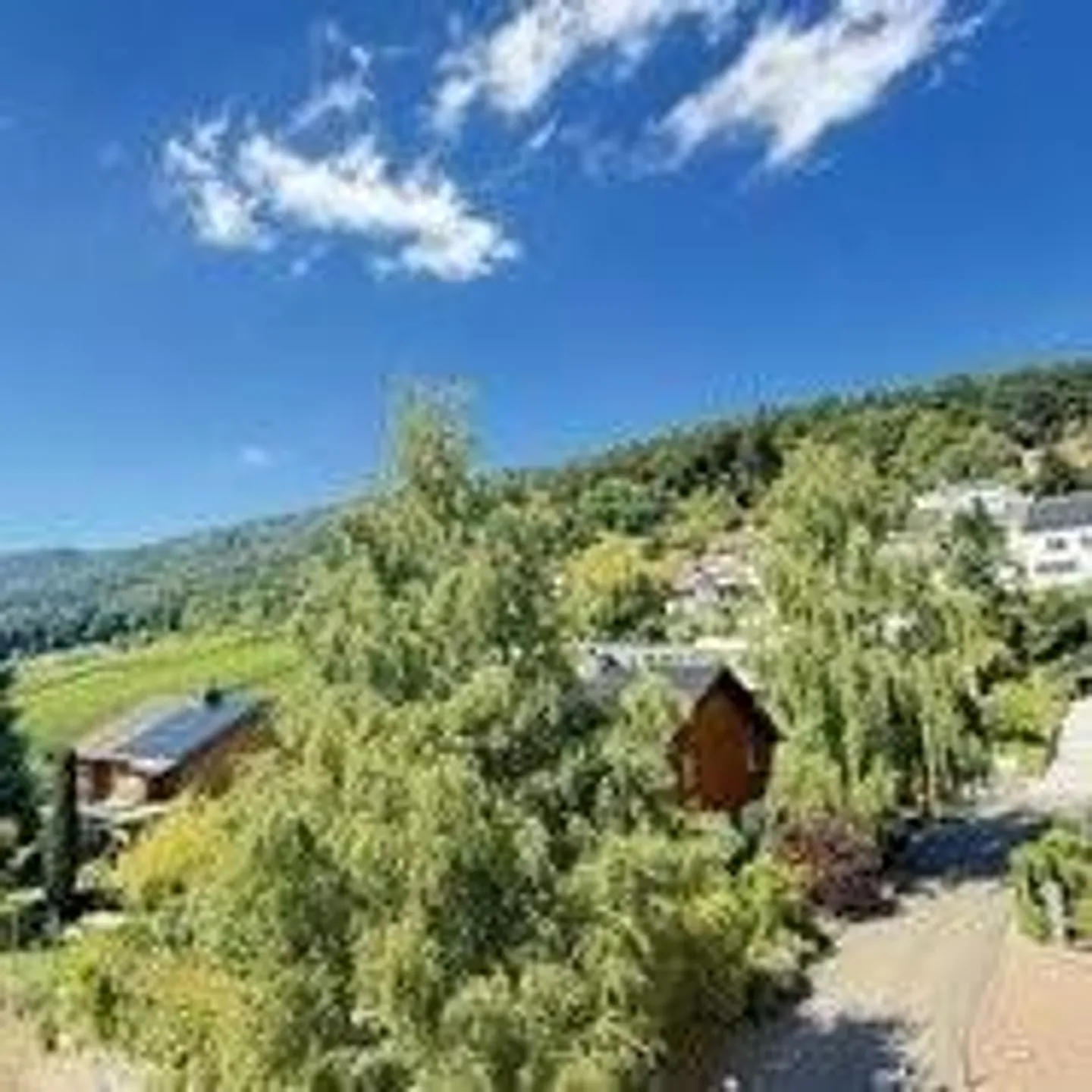 Geräumige Wohnung mit Balkon - Foto 2 von 13