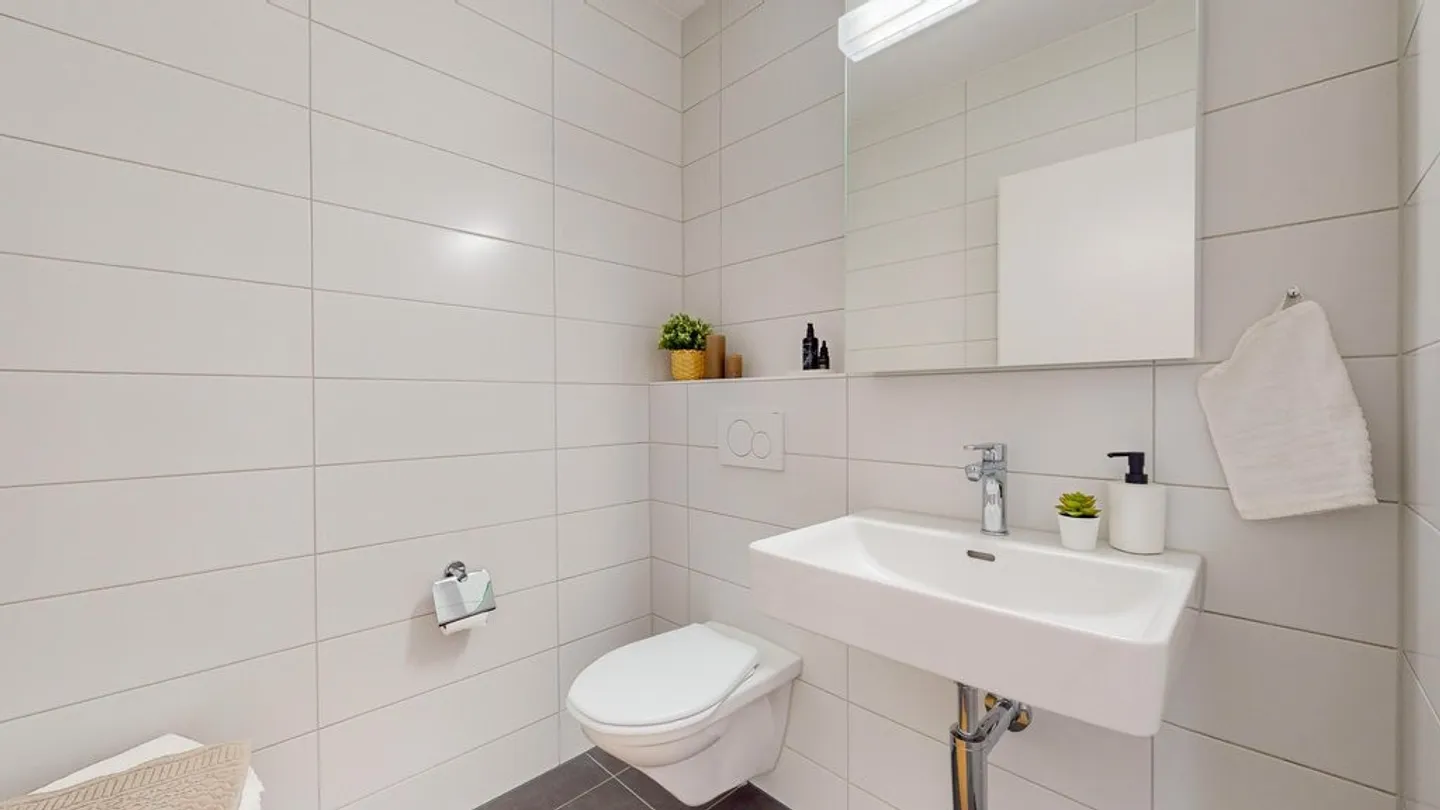 Moderno appartamento attico di 3,5 stanze presso il bellissimo Lyssbach - Foto 8 di 10