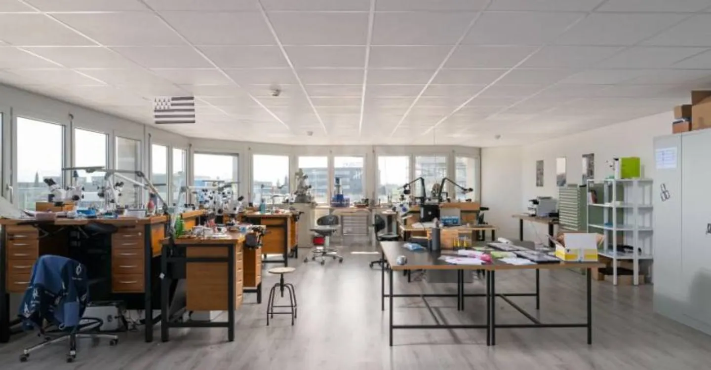 Büro 5,5 Zimmer - Foto 6 von 12