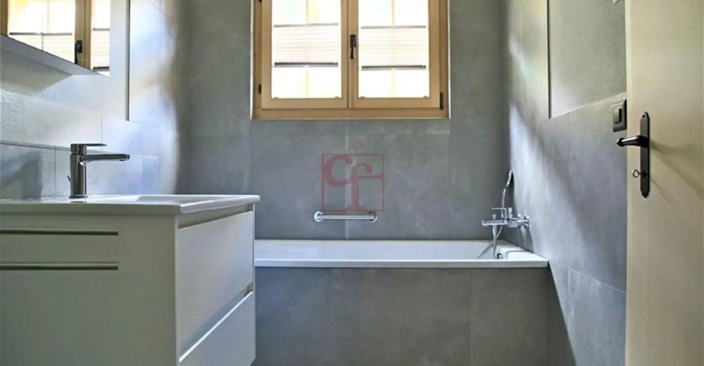 Château-d'Oex - Apartment in a Bucolic Setting - Photo 5 of 6