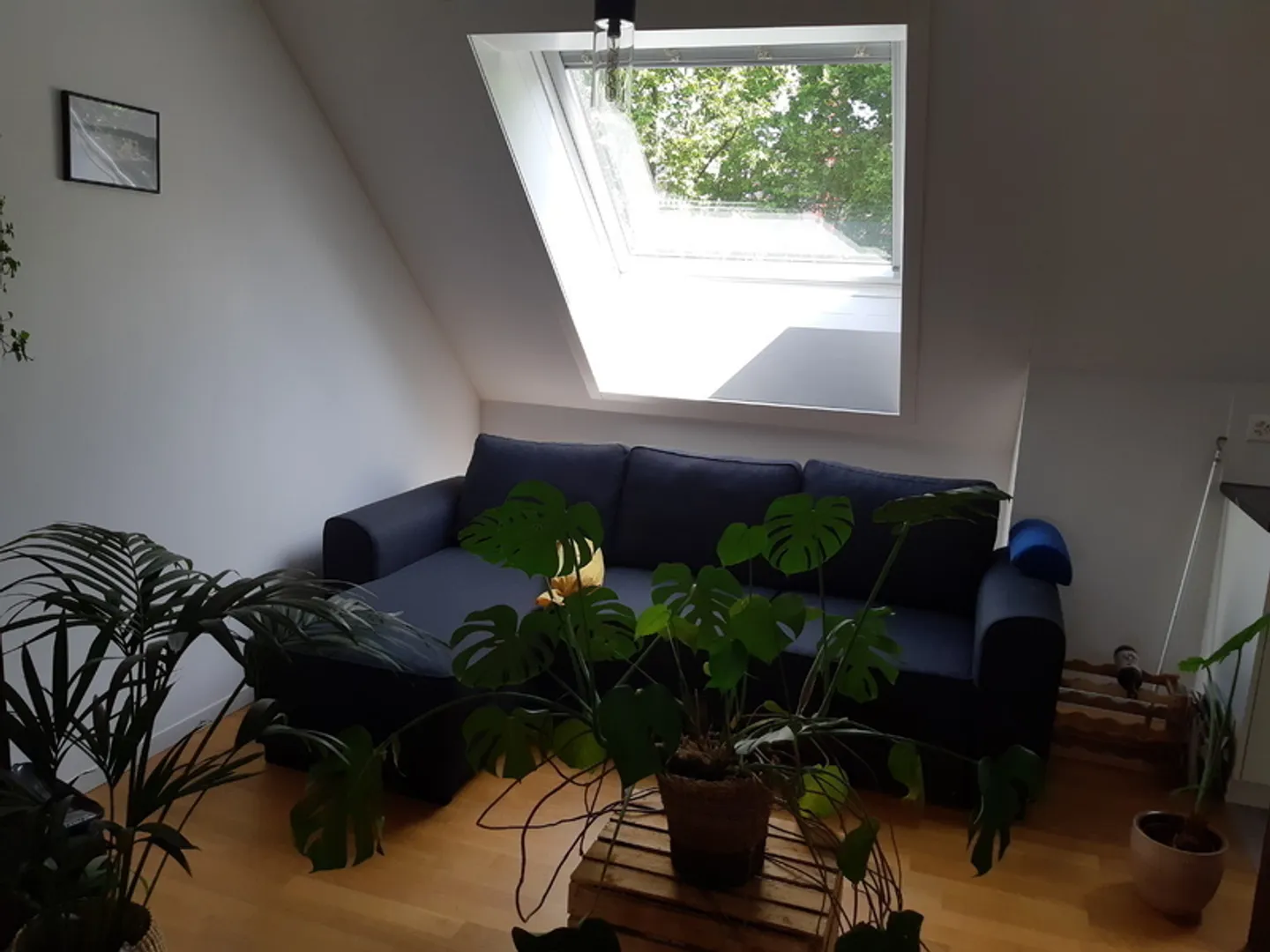 2½ ROOM APARTMENT IN BERN - MATTENHOF, FURNISHED, TEMPORARY - Photo 1 of 7