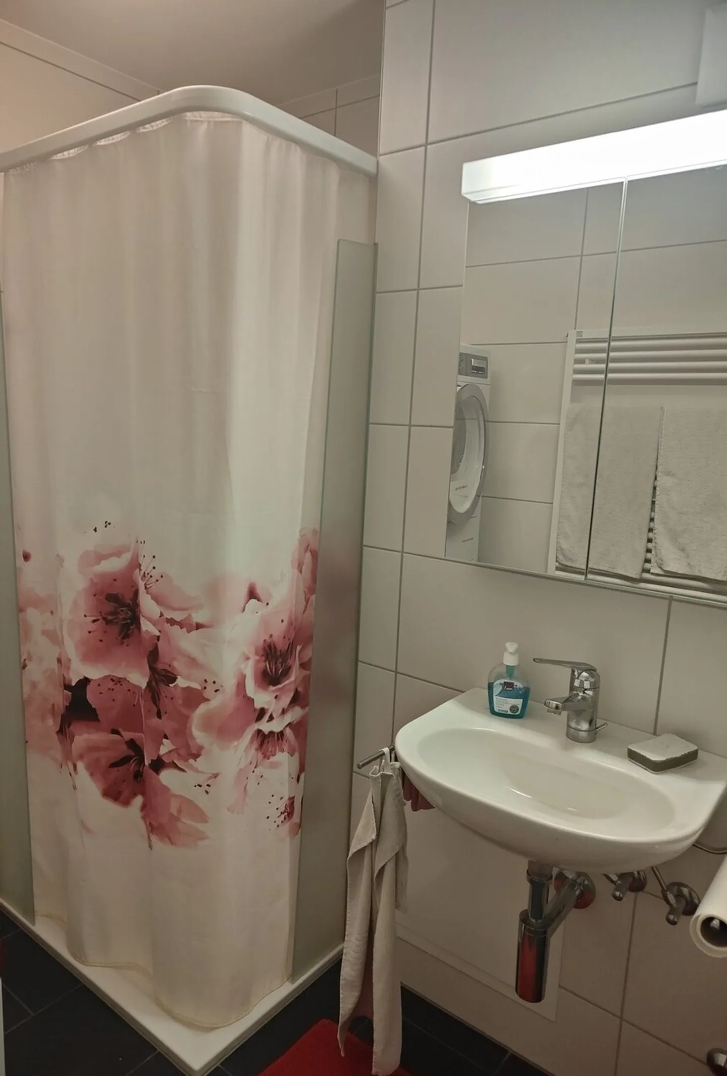 Appartamento versatile di 1,5 stanze nel cuore di Urtenen-Schönbühl - Foto 6 di 7