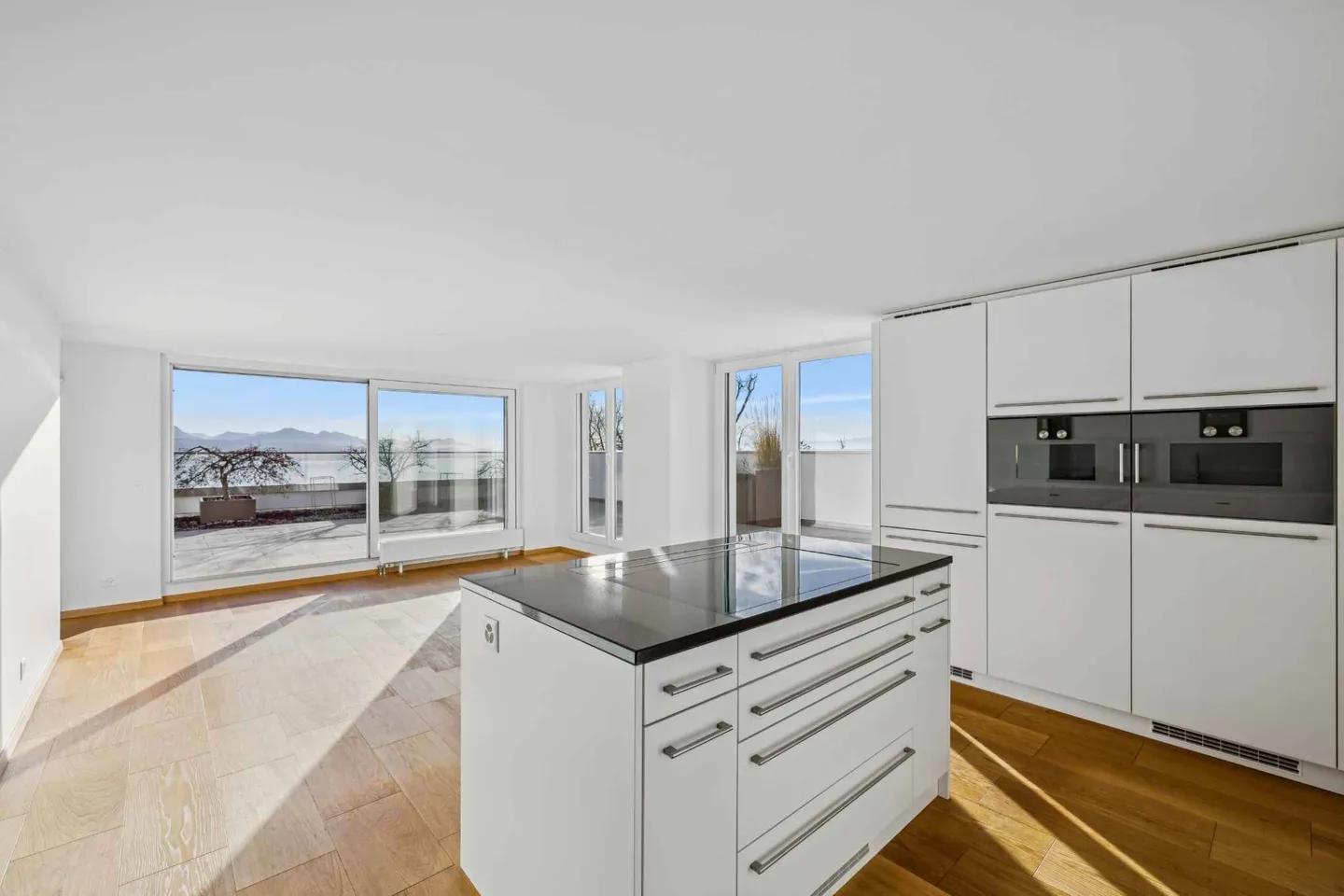 Extraordinary penthouse with breathtaking lake view - Photo 7 of 11