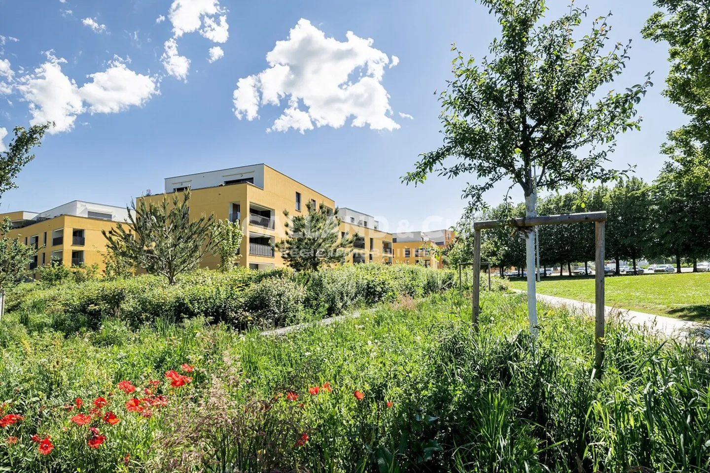 3.5-room apartment - Photo 1 of 9