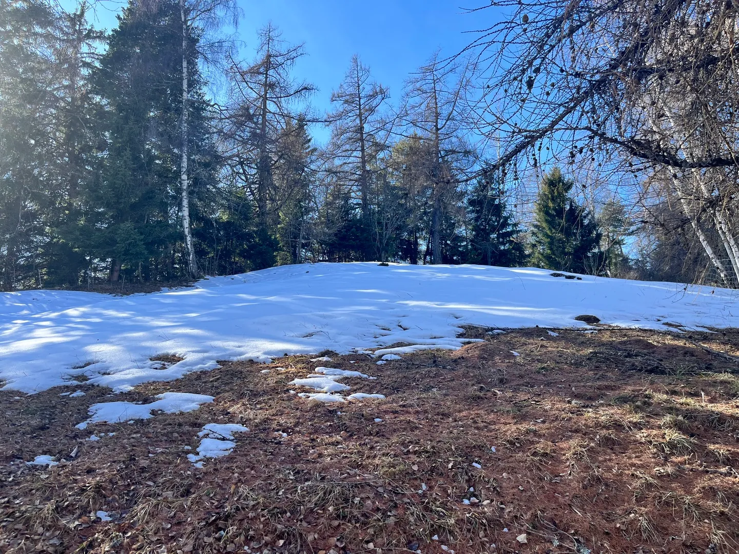 Chalet Plot in Alpine Nature - Photo 1 of 6
