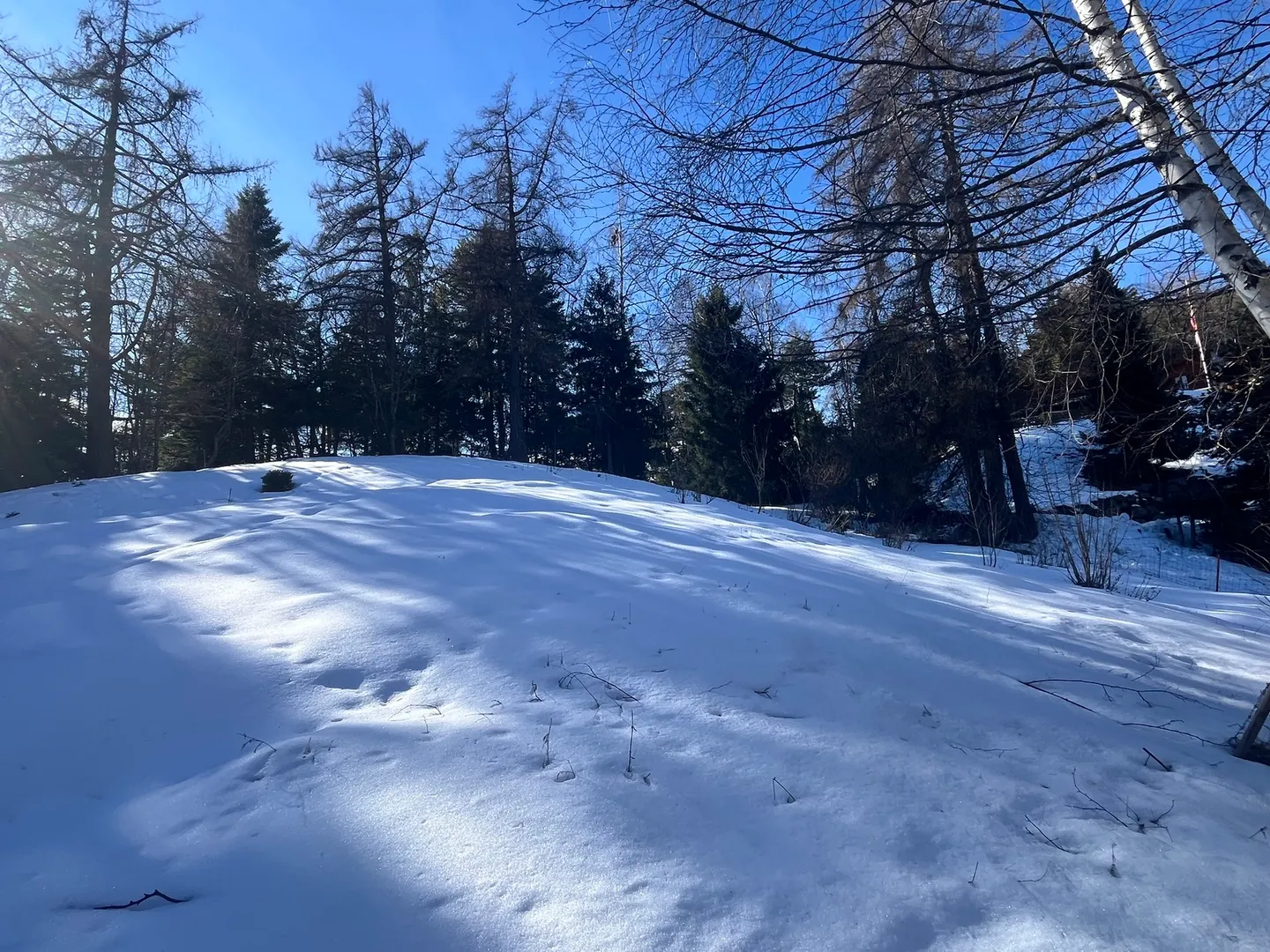 Chalet Plot in Alpine Nature - Photo 4 of 6
