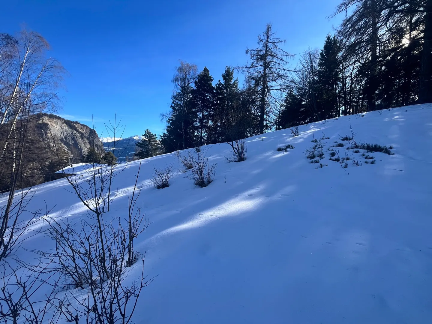 Chalet Plot in Alpine Nature - Photo 6 of 6