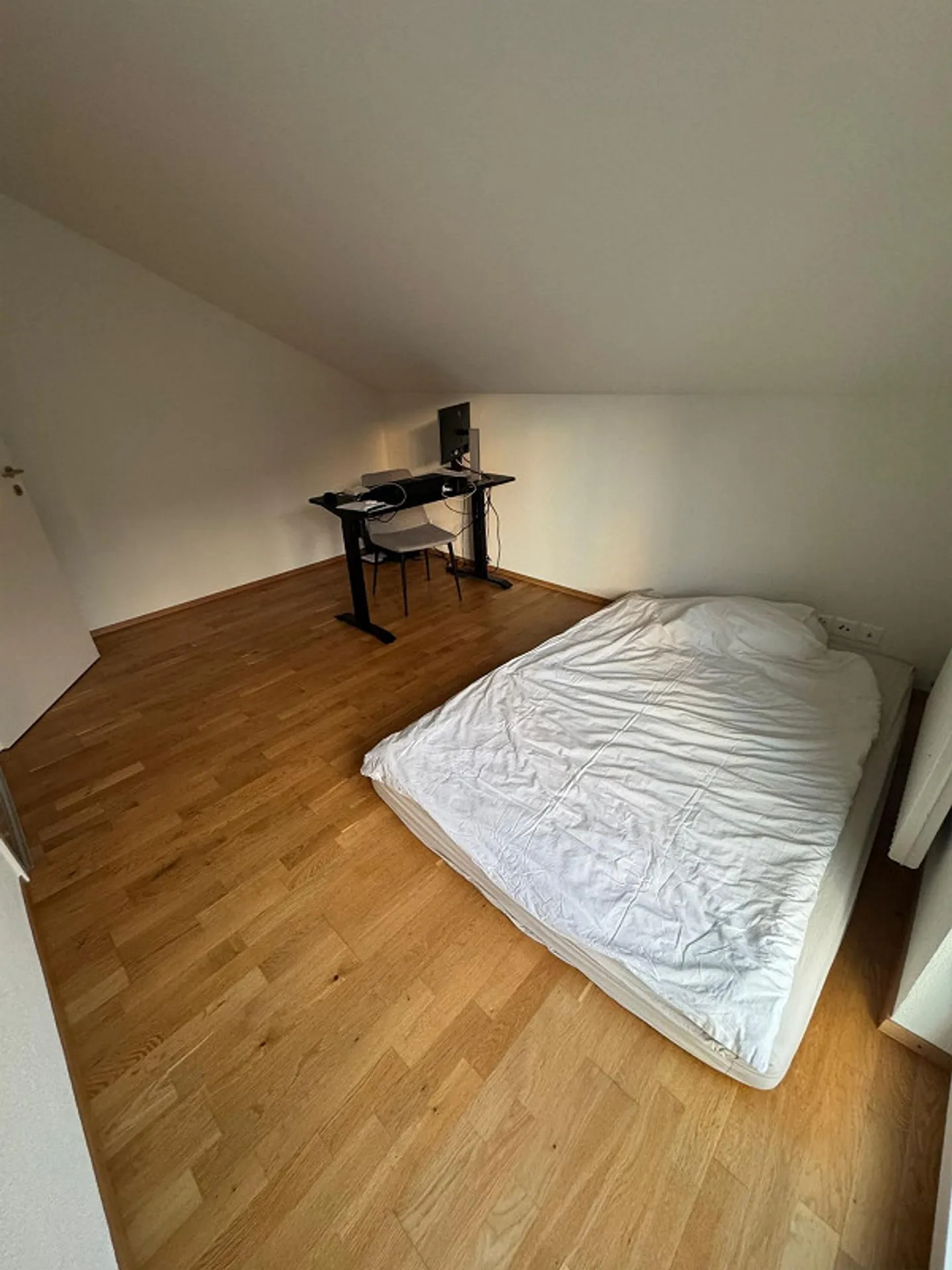 3.5 Room Attic Apartment - Photo 5 of 6