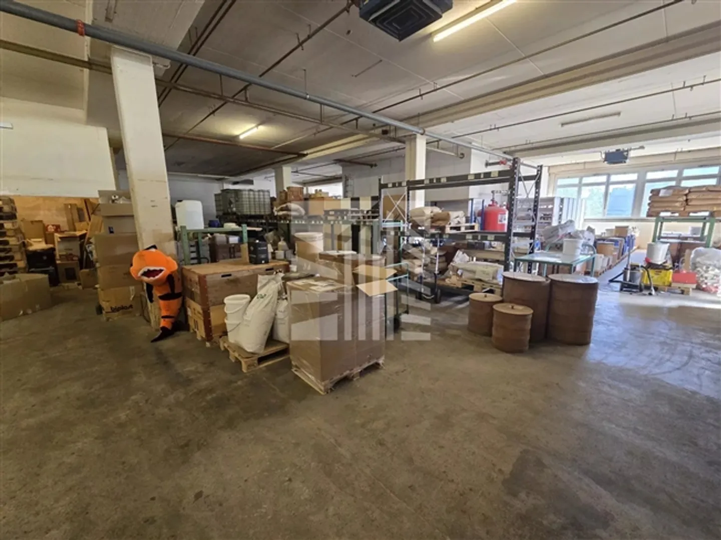 Grandes Espaces Commerciaux à Ecublens - Photo 5 sur 13