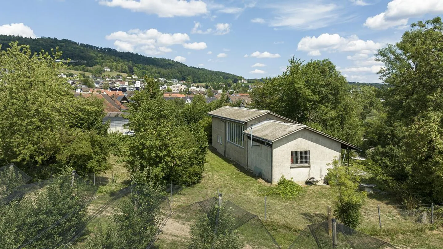 Unterengstringen: Listed Residential and Studio House in the Green - Photo 2 of 6
