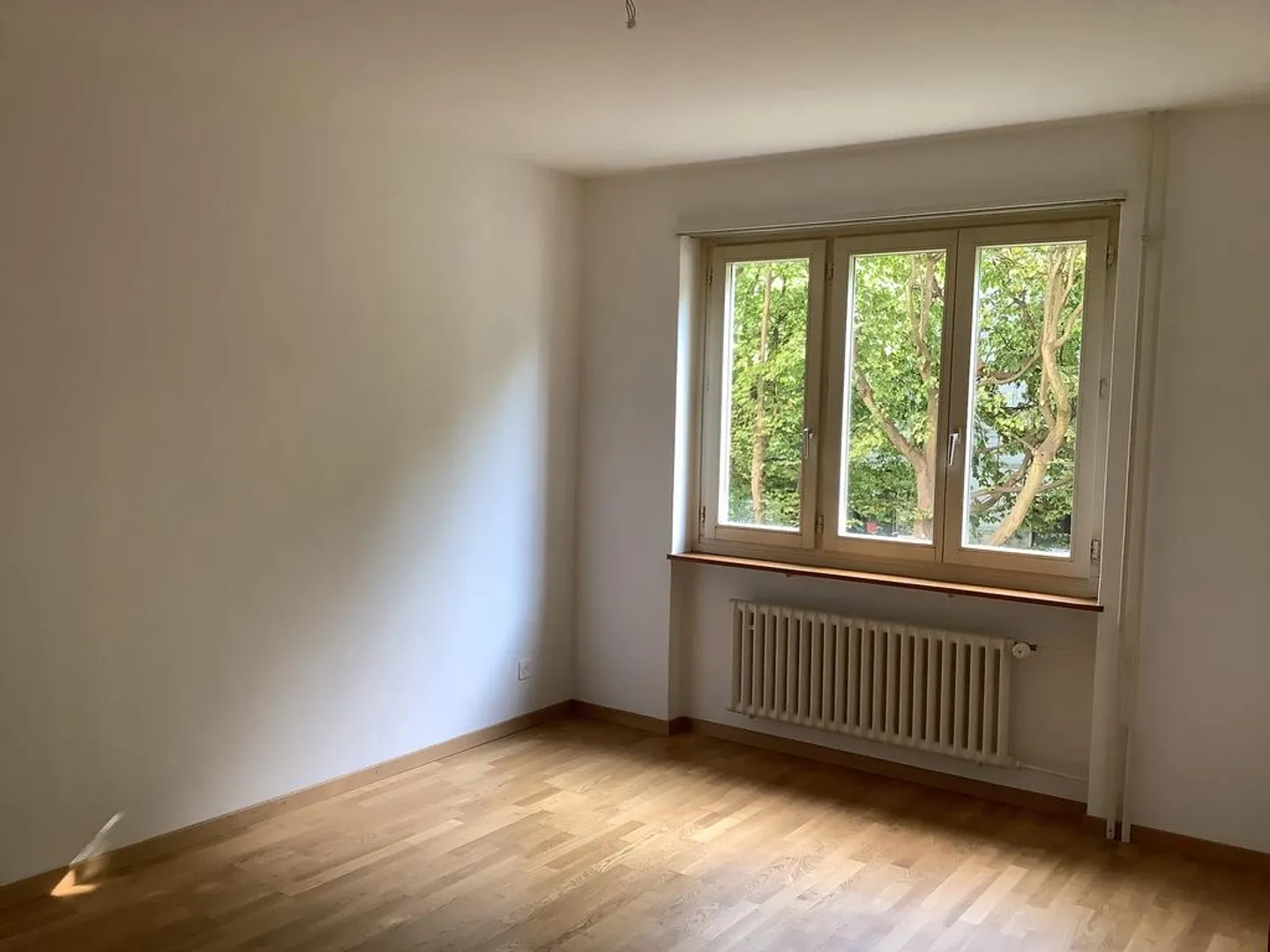 3.5 Room Apartment - Photo 5 of 6