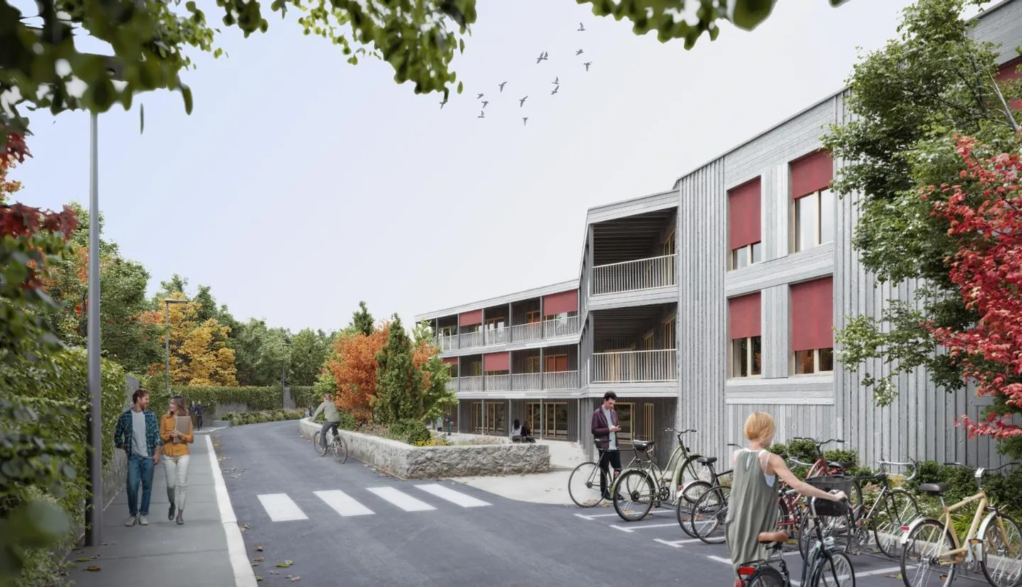 Apartment - Photo 4 of 6