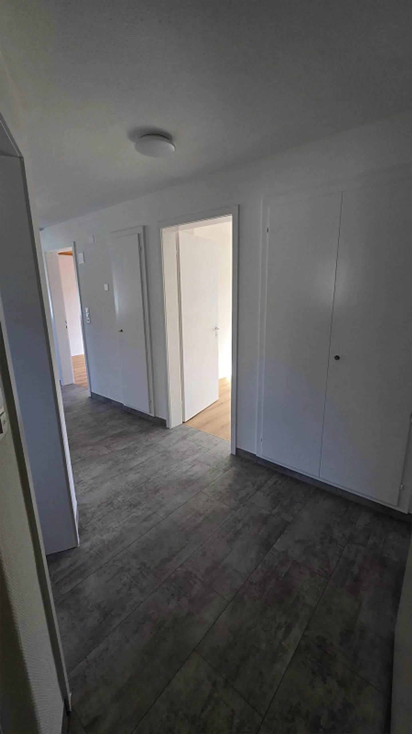 2 1/2 Rooms 2nd Floor in Multi-Family House Completely Renovated 2023 - Photo 4 of 9