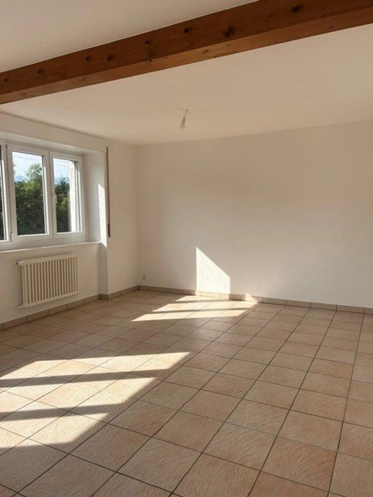 Spacious 4-room apartment with large terrace in Puidoux - Photo 2 of 7