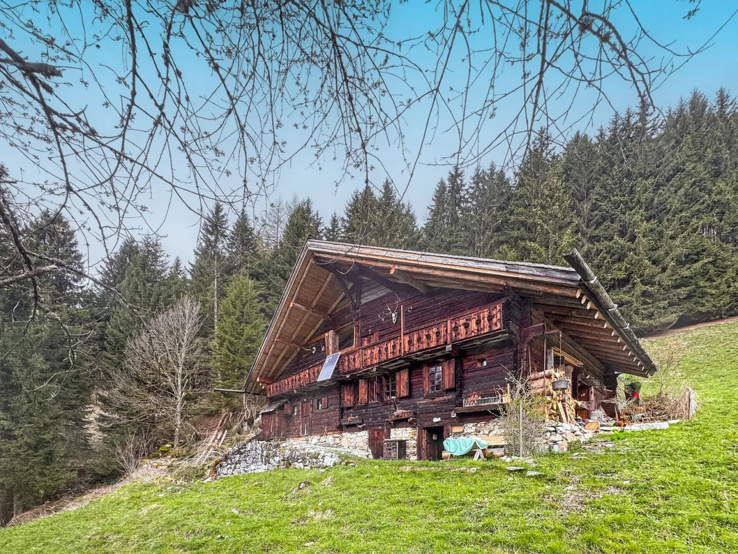 Proprietà rara - Chalet di 7,5 stanze immerso in 28.000 m² di foresta e prato. - Foto 1 di 19