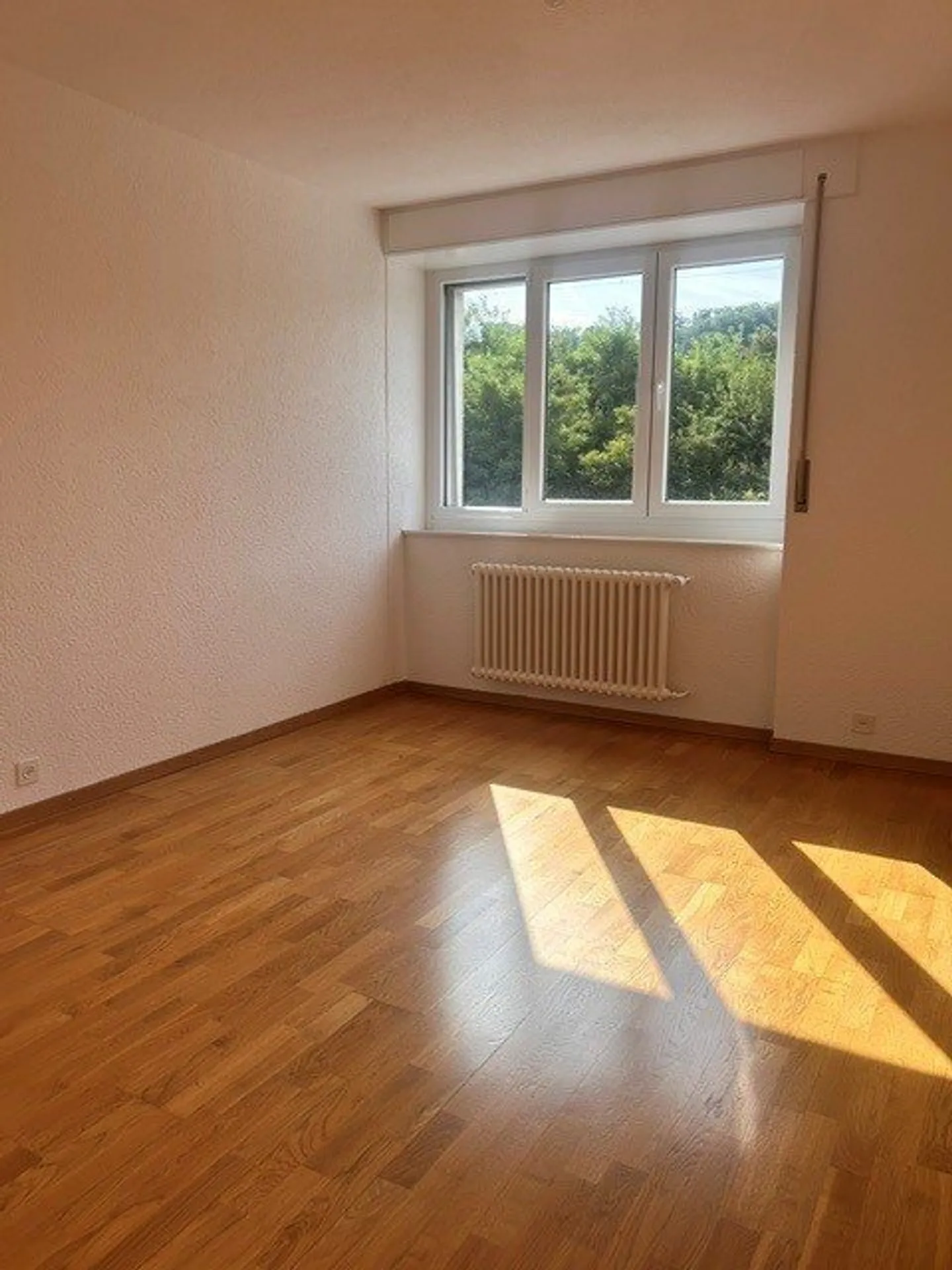 Spacious 4-room apartment with large terrace in Puidoux - Photo 5 of 7