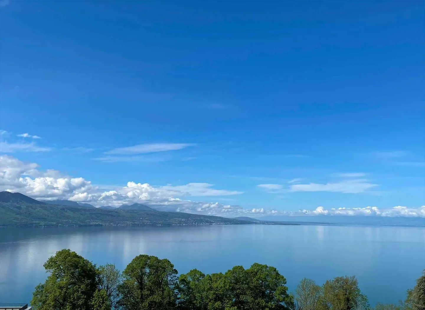 New 3.5-room apartment on the 4th floor with balcony for sale in Chexbres - Photo 3 of 13