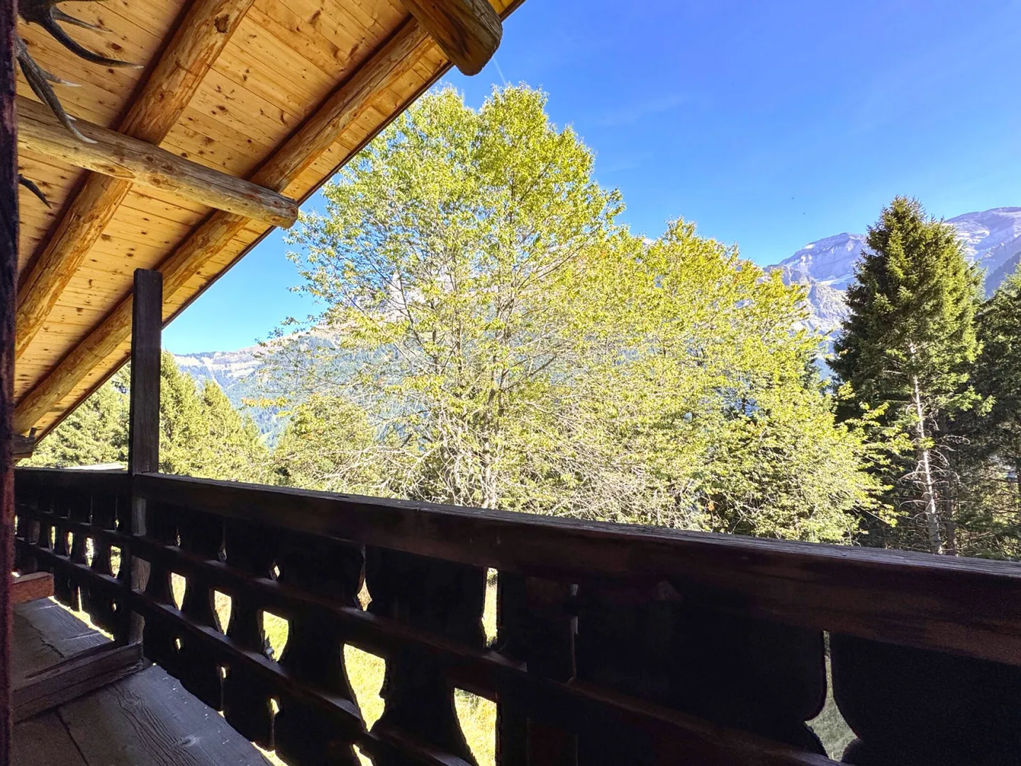 Proprietà rara - Chalet di 7,5 stanze immerso in 28.000 m² di foresta e prato. - Foto 14 di 19