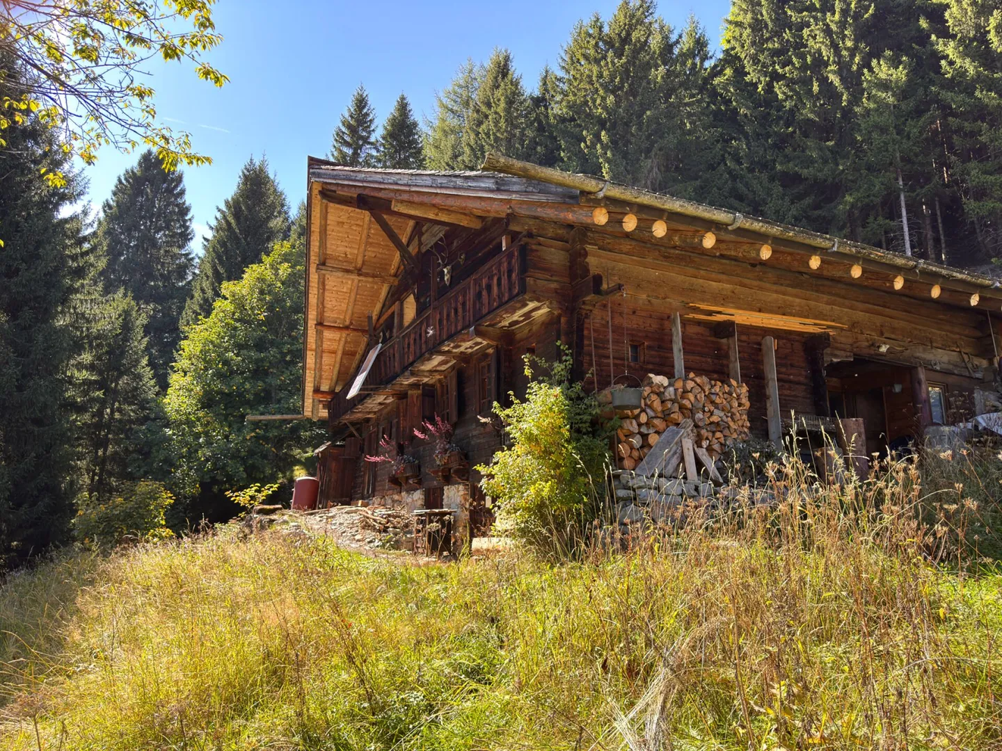 Proprietà rara - Chalet di 7,5 stanze immerso in 28.000 m² di foresta e prato. - Foto 18 di 19