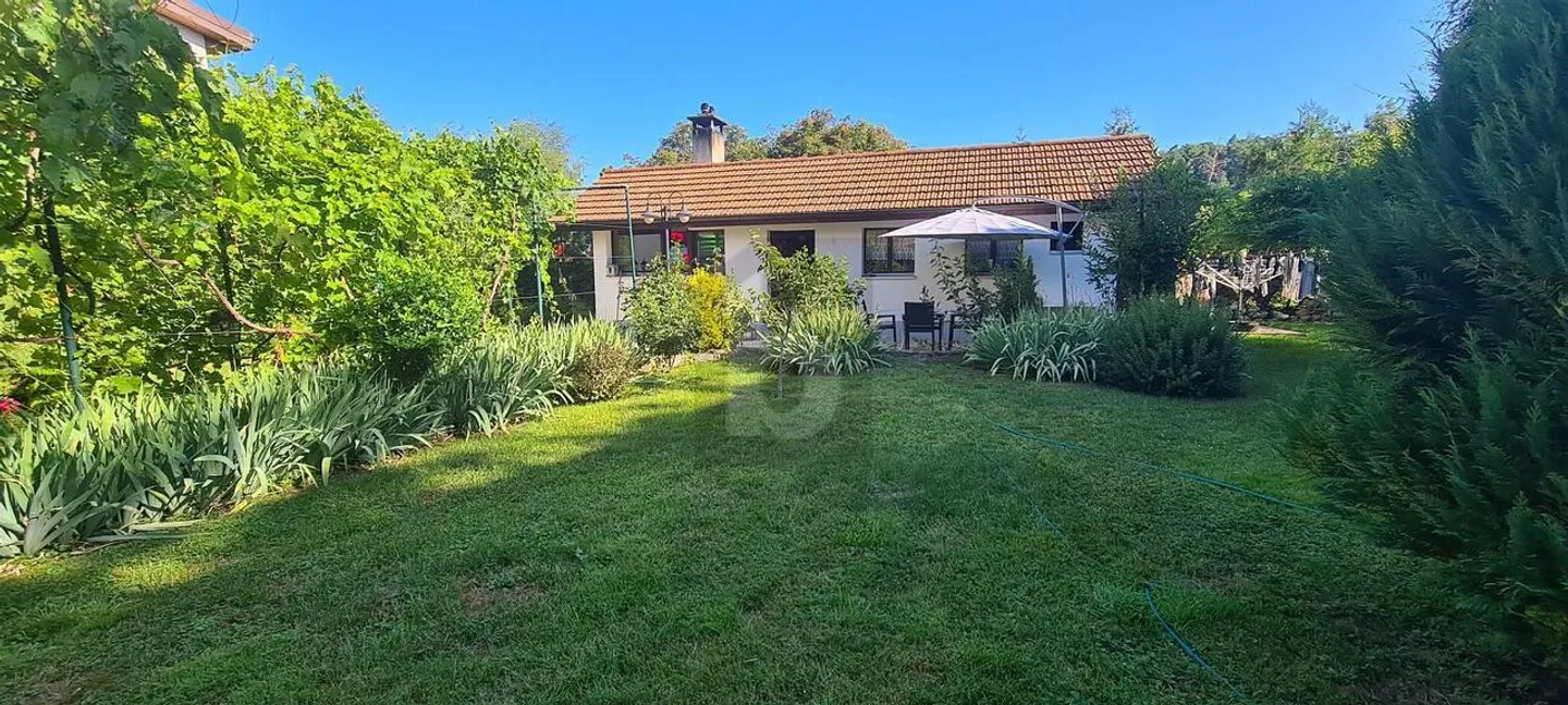 PRICE-PERFORMANCE! SPACIOUS WITH BEAUTIFUL POTENTIAL - Photo 1 of 6