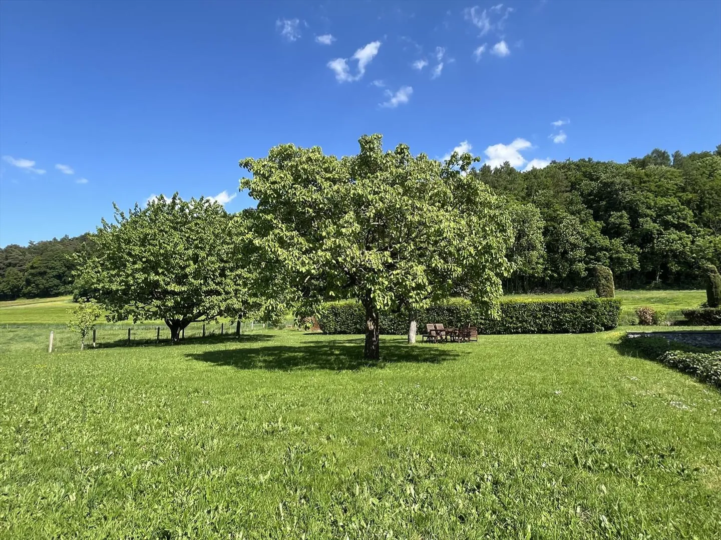 CON UN ENORME POTENZIALE, IN UNA ZONA TRANQUILLA - Foto 4 di 13