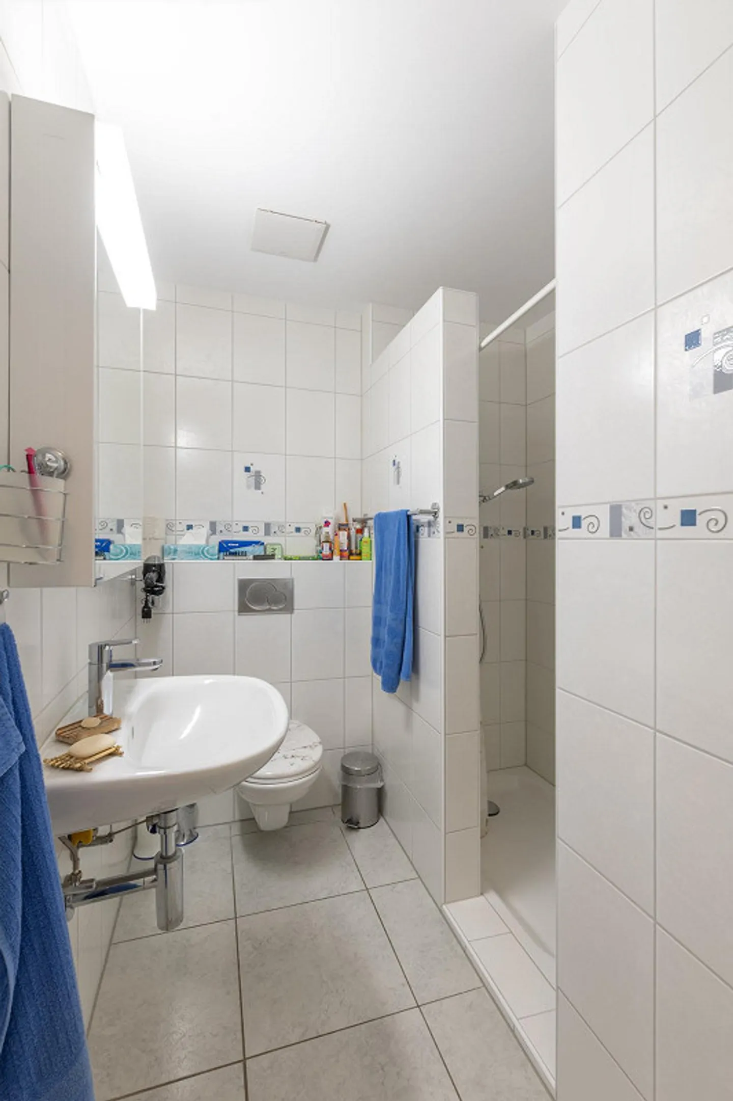 Casa bifamiliare di 4,5 stanze con 2 stanze aggiuntive nel seminterrato - Foto 12 di 14