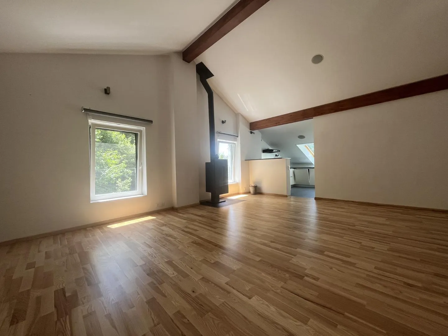 MAGNIFICENT PENTHOUSE, WITH CHARM - Photo 1 of 13