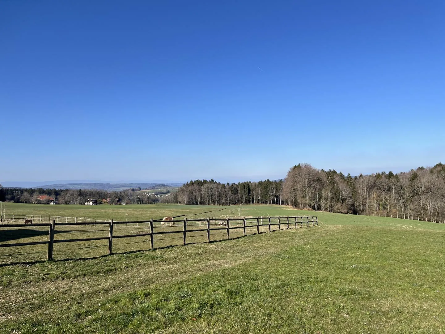 MAGNIFICENT PENTHOUSE, WITH CHARM - Photo 4 of 13