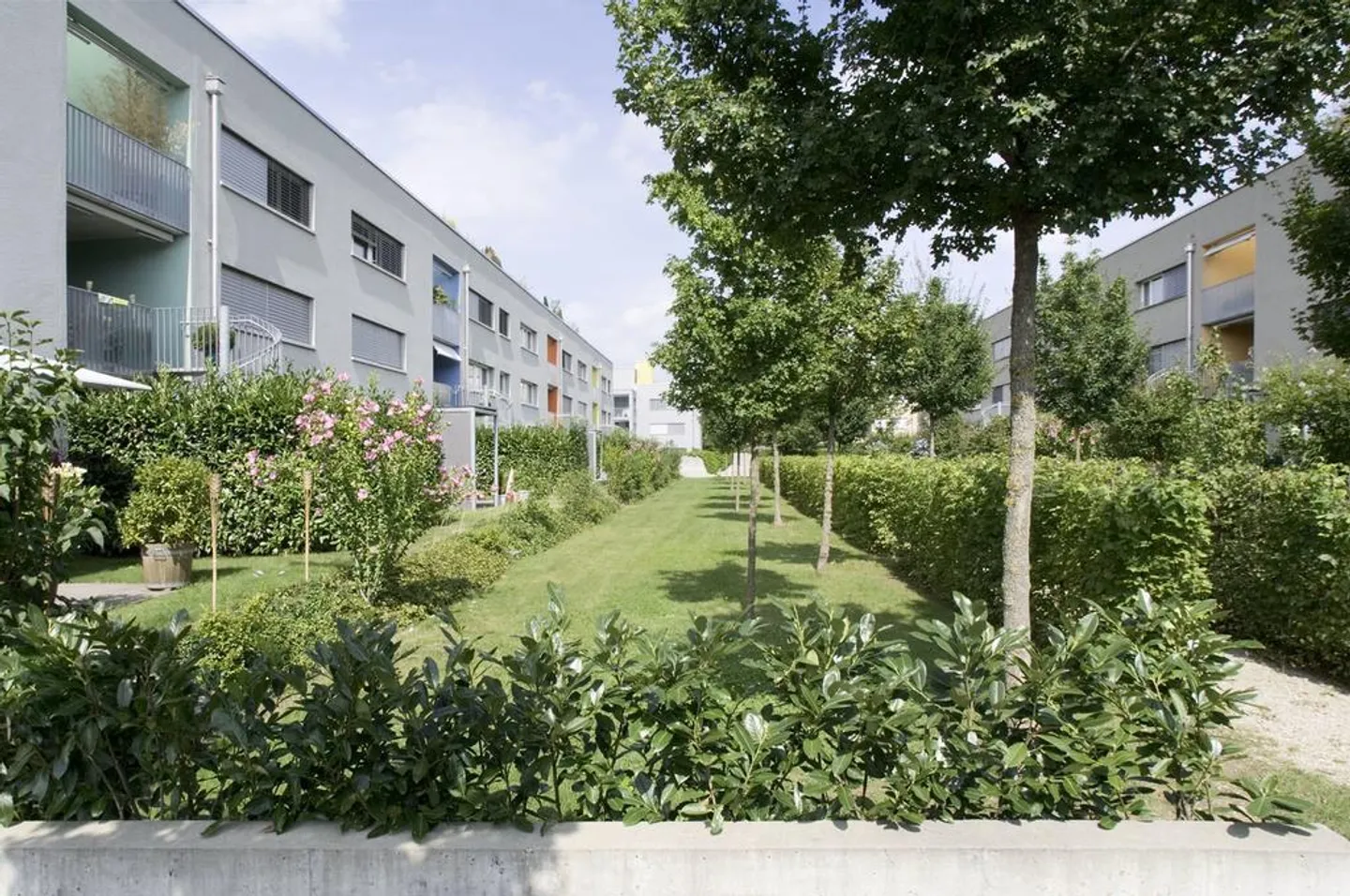 Gemütliche 3.5-Zimmerwohnung - Foto 1 von 8