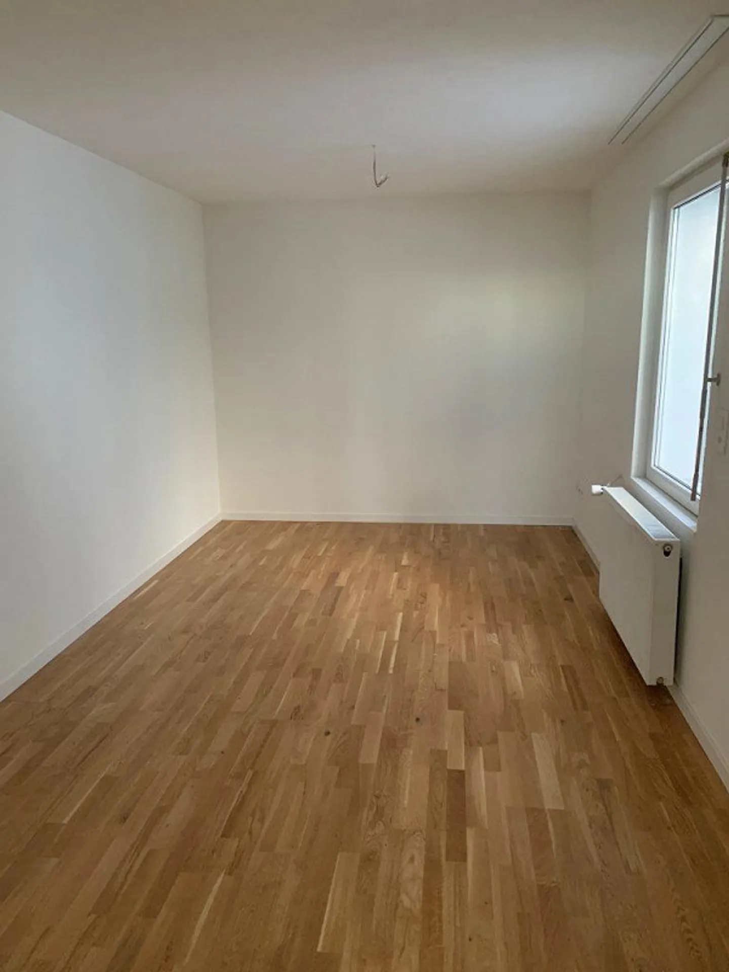 Modern Living Directly by the Lake! - Photo 4 of 13