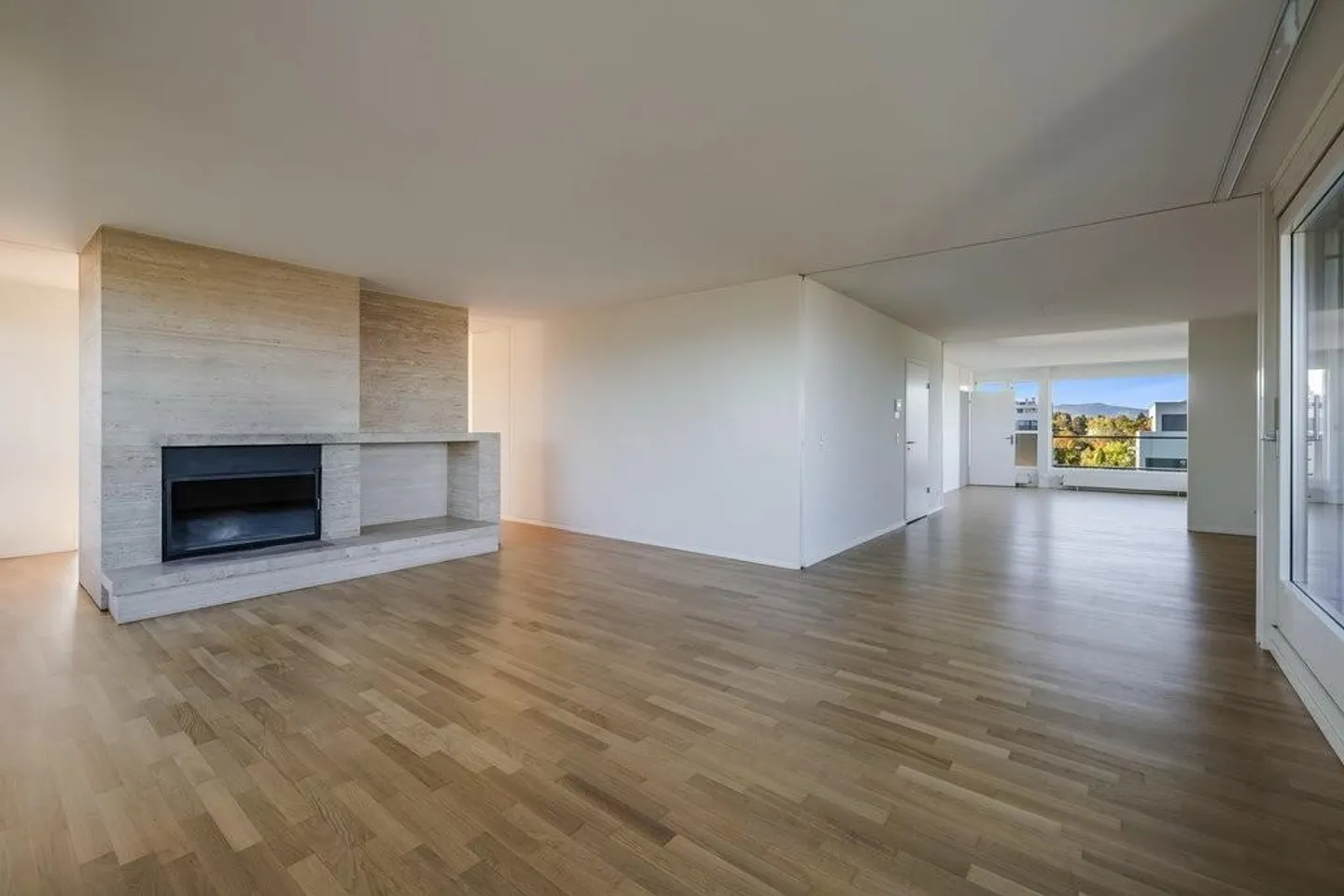 Penthouse au-dessus des toits de Bâle - Photo 6 sur 11