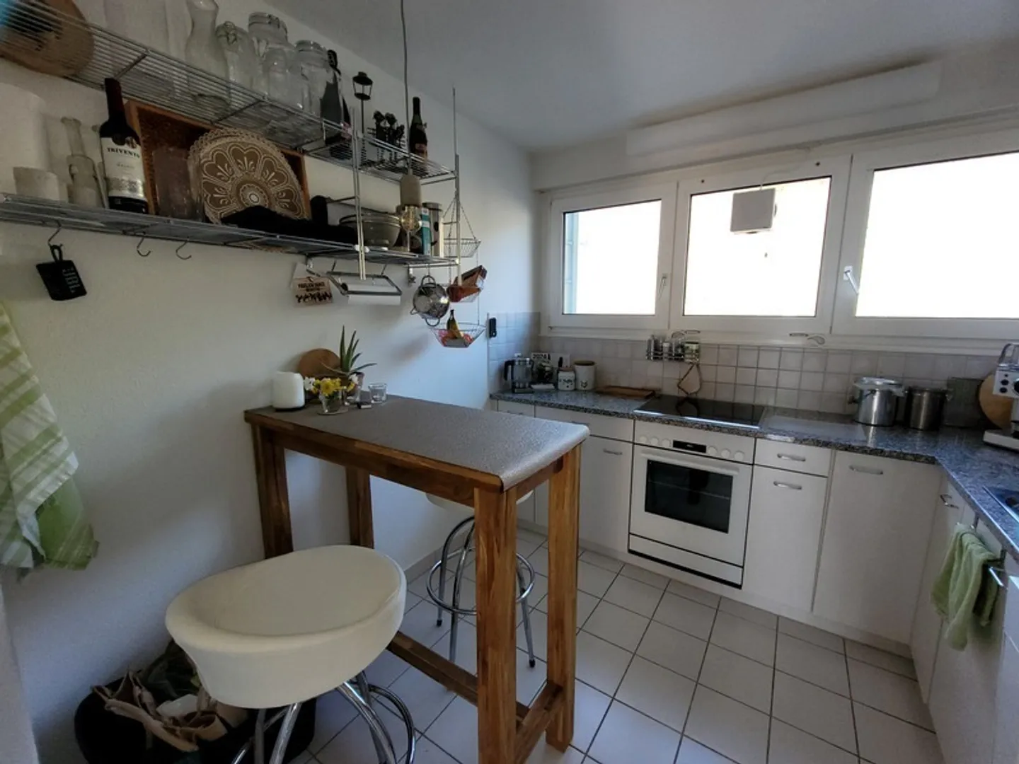 Cozy Apartment near Lake Zurich - Photo 4 of 9