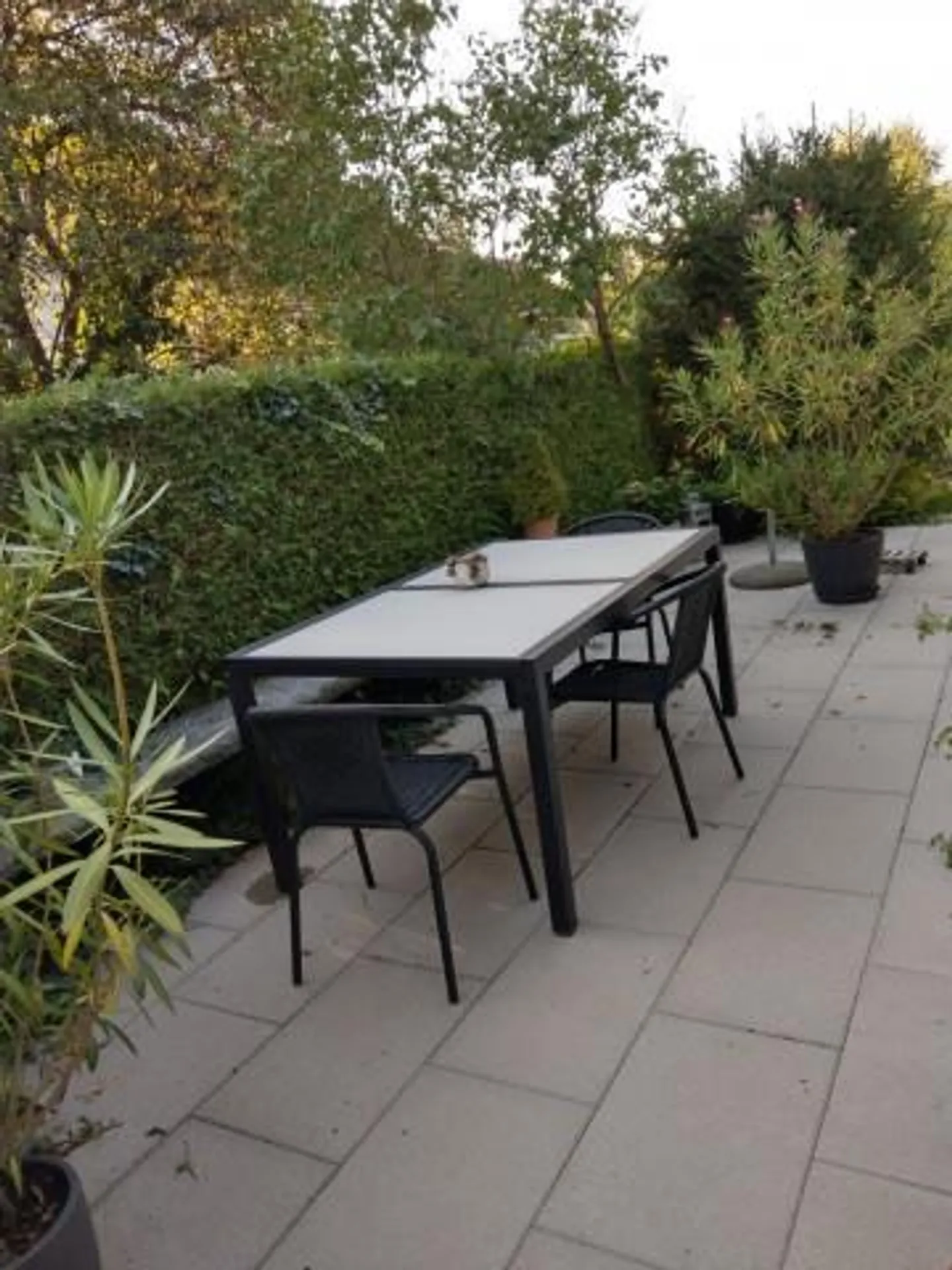 Bellissimo e tranquillo appartamento a Muri vicino a Berna - Foto 7 di 8