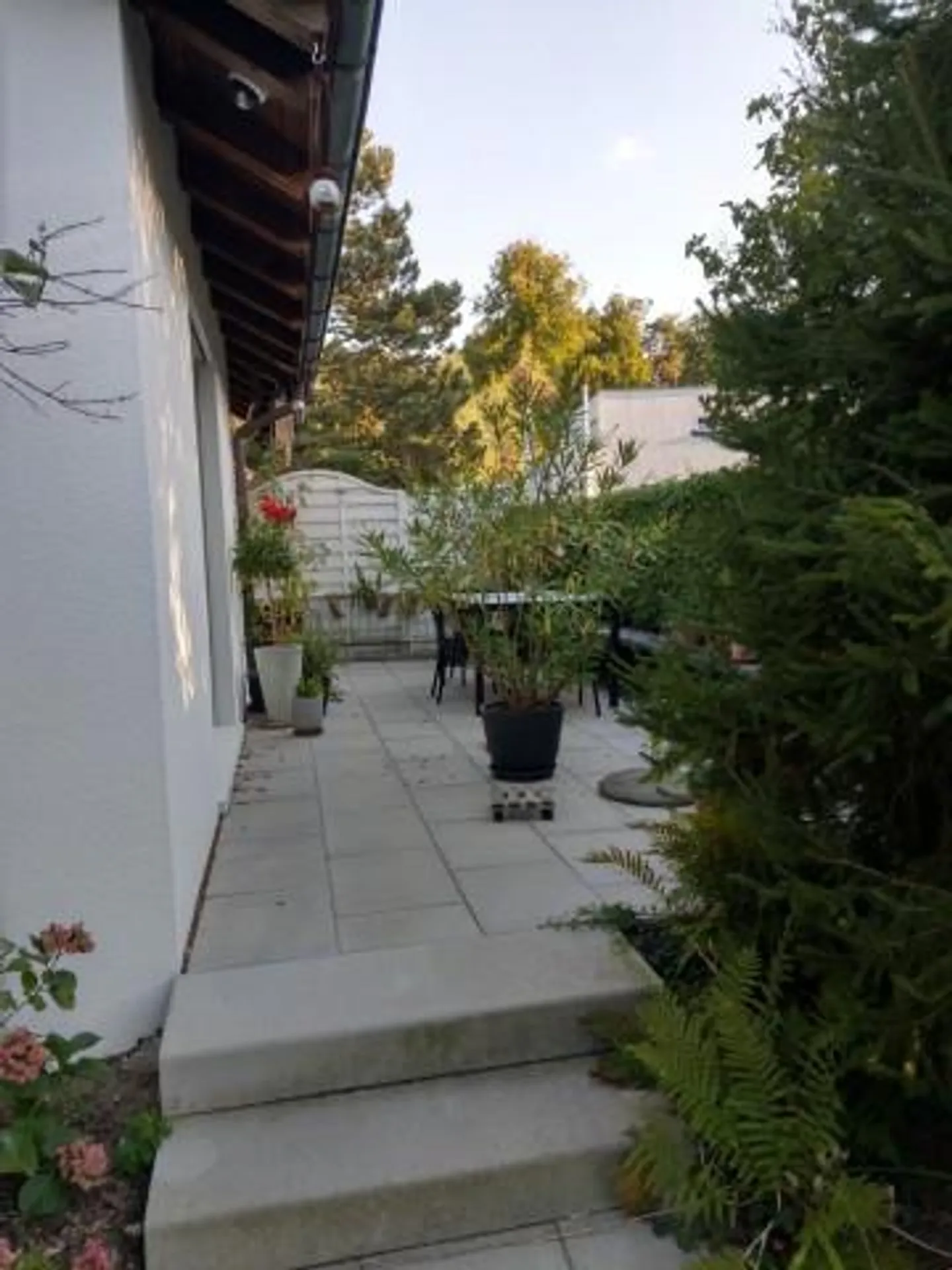 Bellissimo e tranquillo appartamento a Muri vicino a Berna - Foto 8 di 8