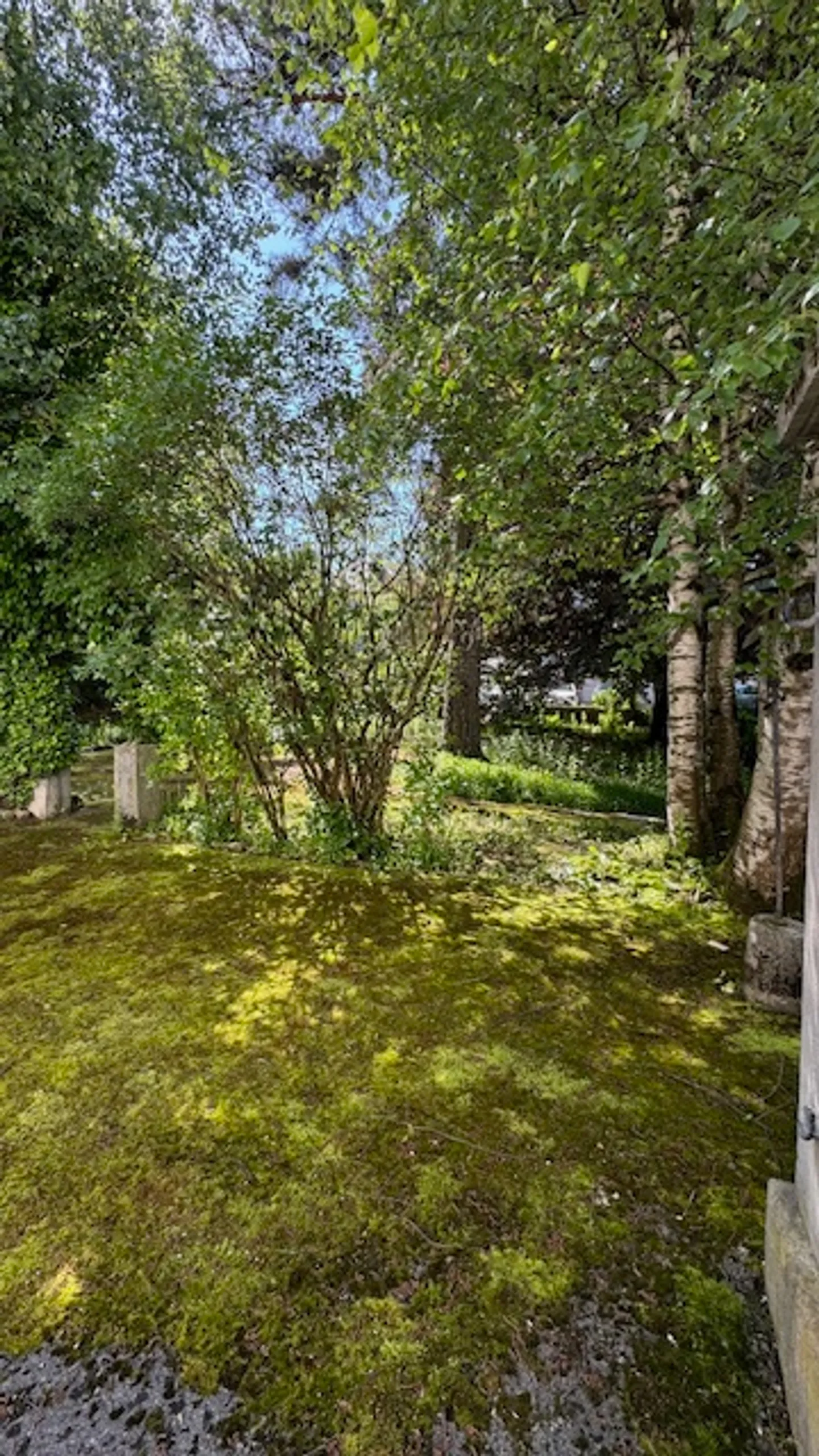 Immeuble résidentiel - Photo 2 sur 7