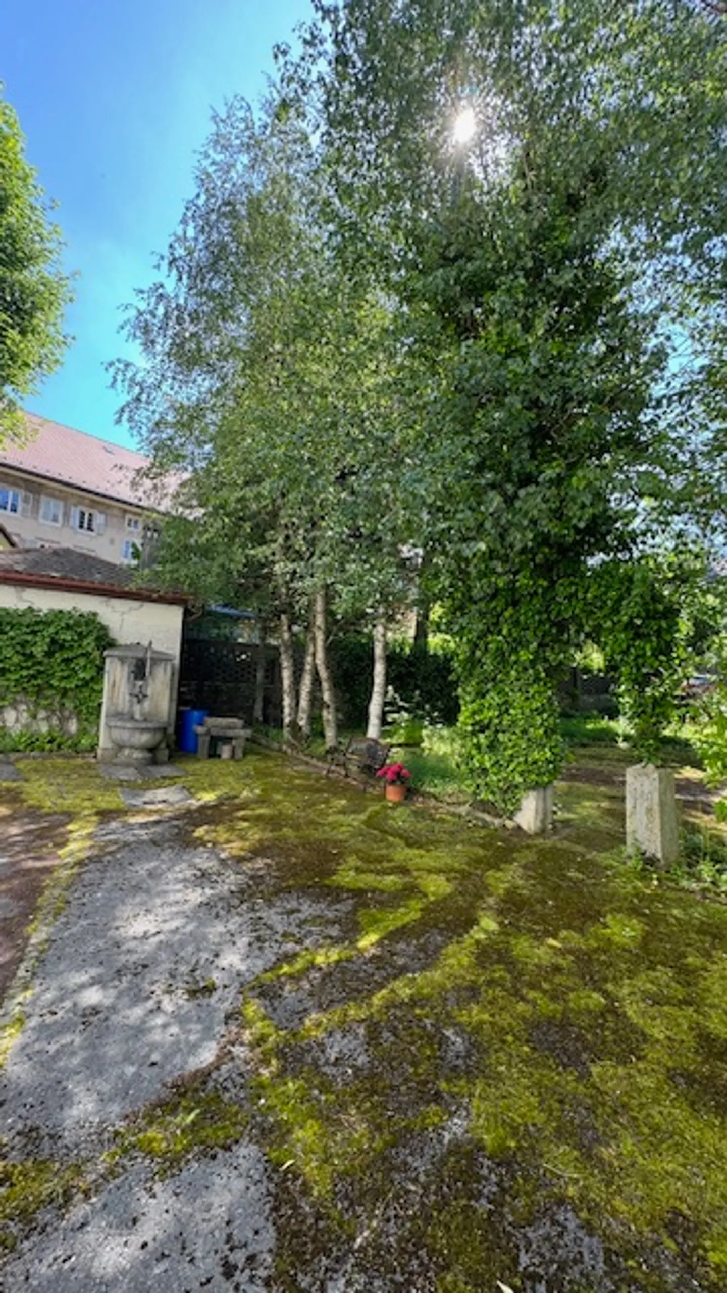 Immeuble résidentiel - Photo 4 sur 7