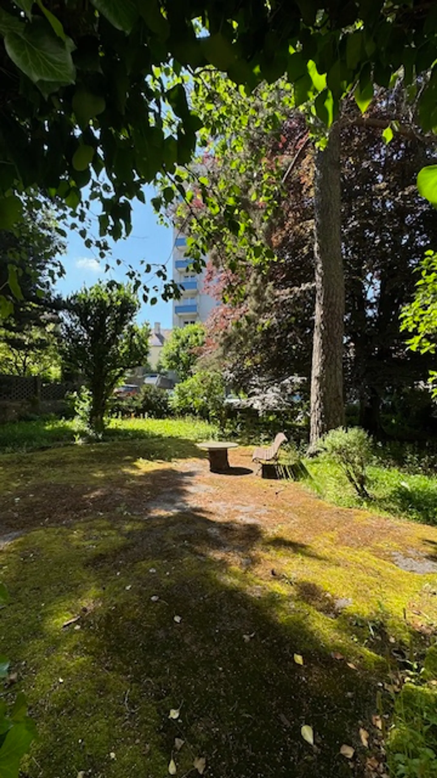 Immeuble résidentiel - Photo 5 sur 7