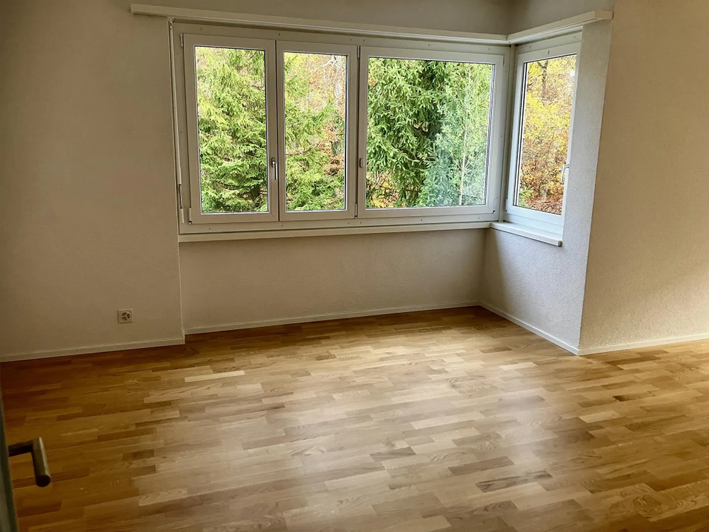 Bellissimo appartamento tranquillo, recentemente ristrutturato vicino al bosco - Foto 7 di 9