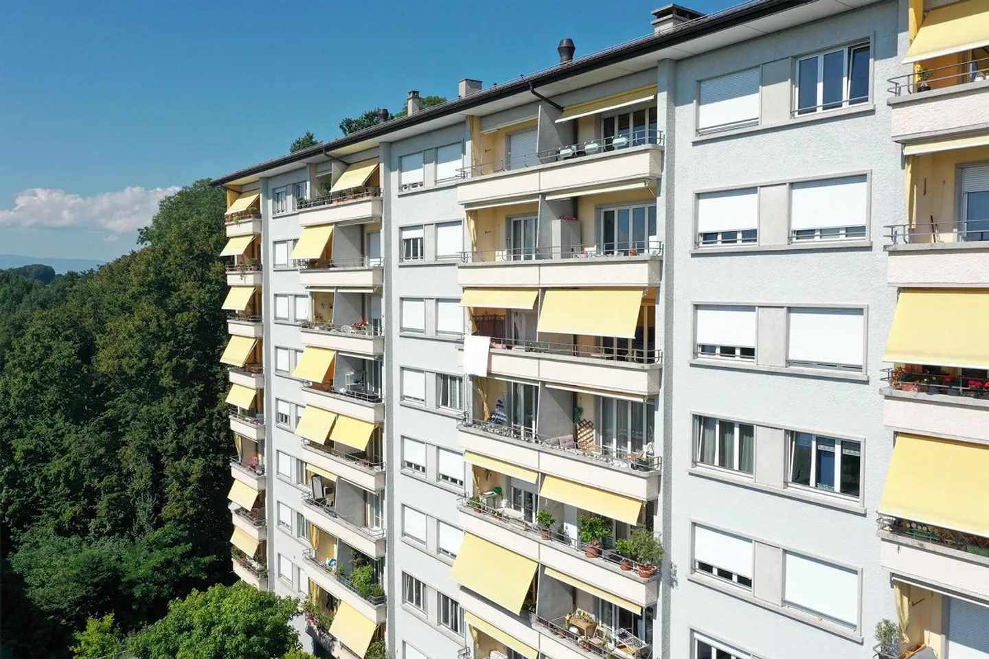 Blick auf den See - Foto 4 von 6