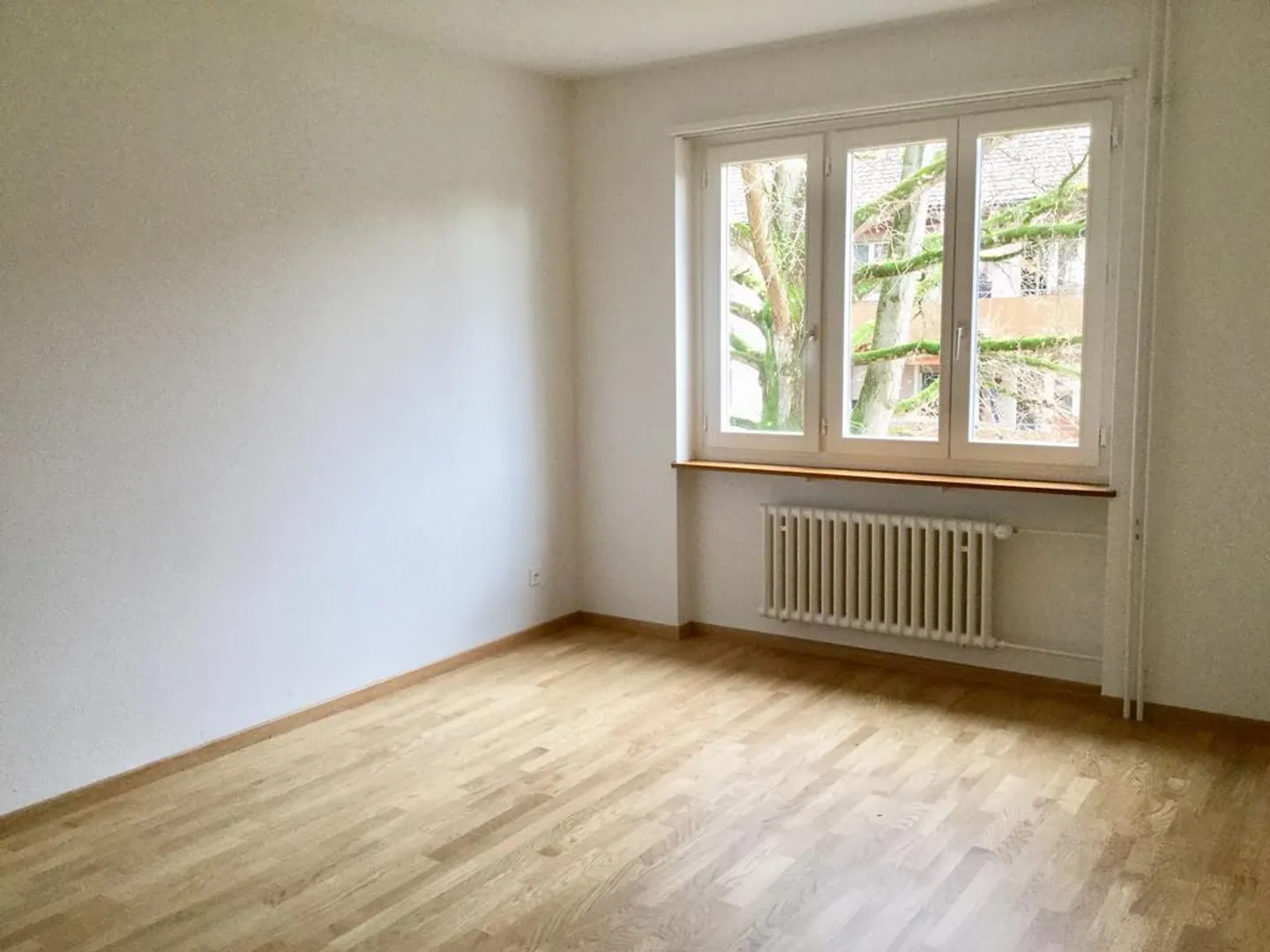 TEMPORARY - Photo 4 of 4