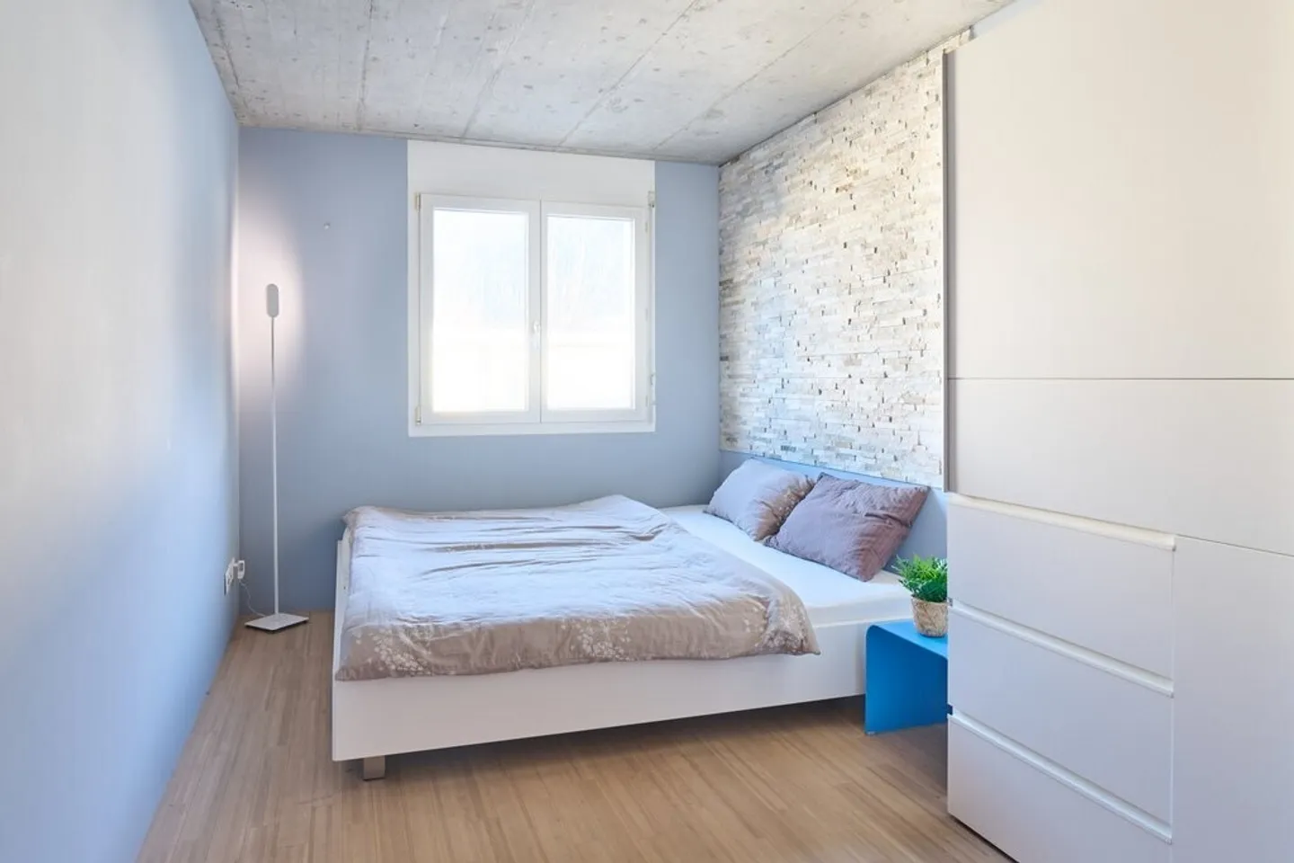 Ampia casa unifamiliare con appartamento - Foto 4 di 12