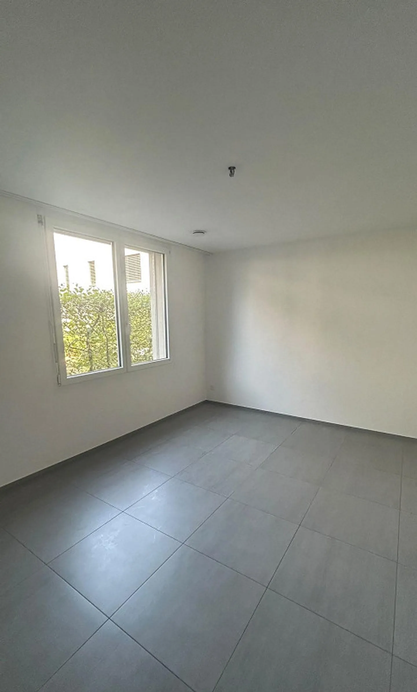 Bright 4.5-Room Ground Floor Apartment with Terrace - Photo 2 of 9