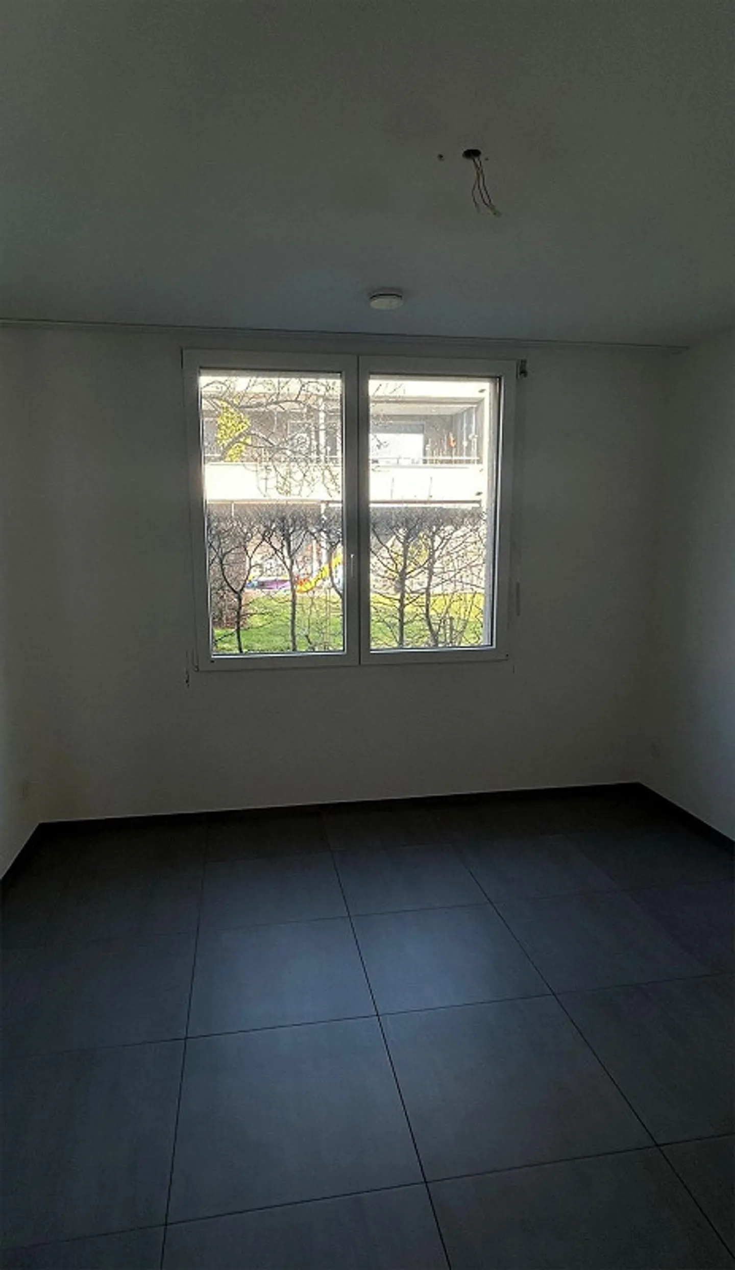 Bright 4.5-Room Ground Floor Apartment with Terrace - Photo 5 of 9
