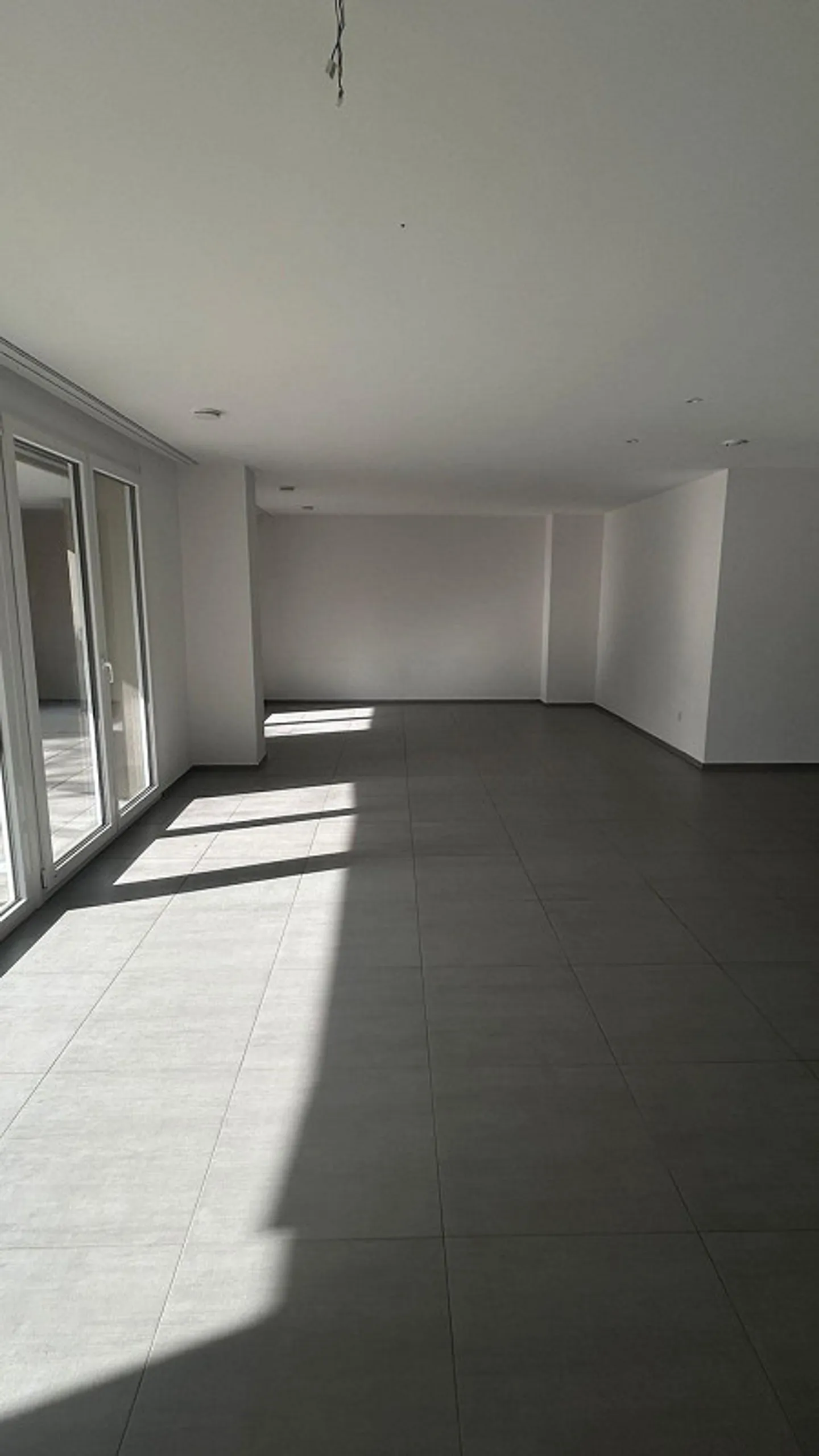 Bright 4.5-Room Ground Floor Apartment with Terrace - Photo 3 of 9