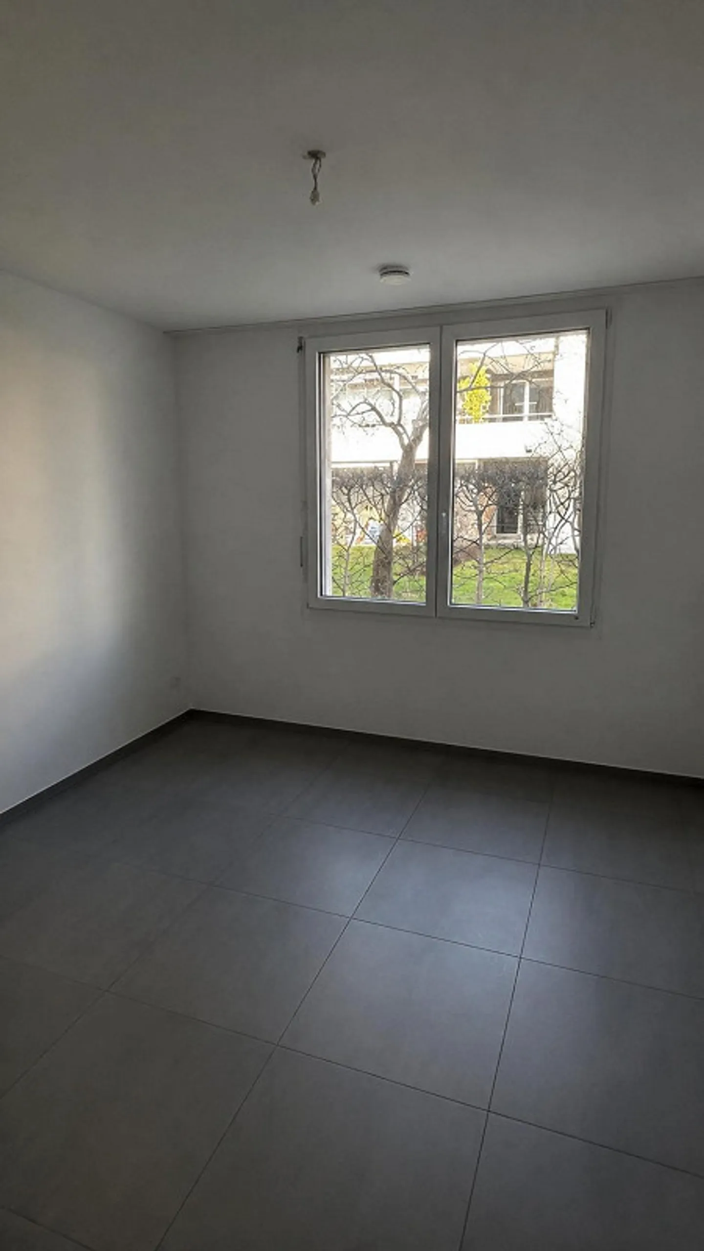 Bright 4.5-Room Ground Floor Apartment with Terrace - Photo 6 of 9