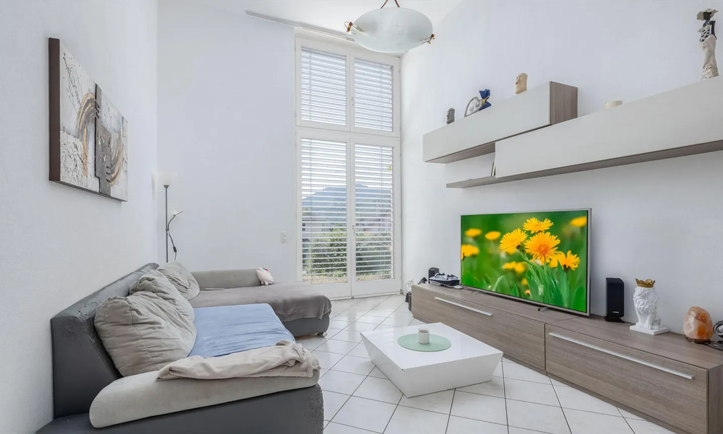 Spacious terraced house with 5.5 rooms and garden in Seseglio - Photo 2 of 9