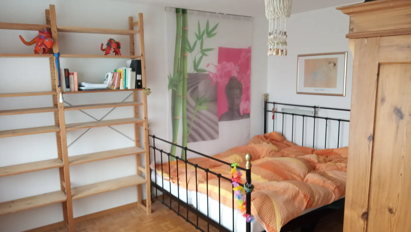 APPARTAMENTO 2 LOCALI A STÄFA (ZH), ARREDATO, TEMPORANEO - Foto 3 di 6