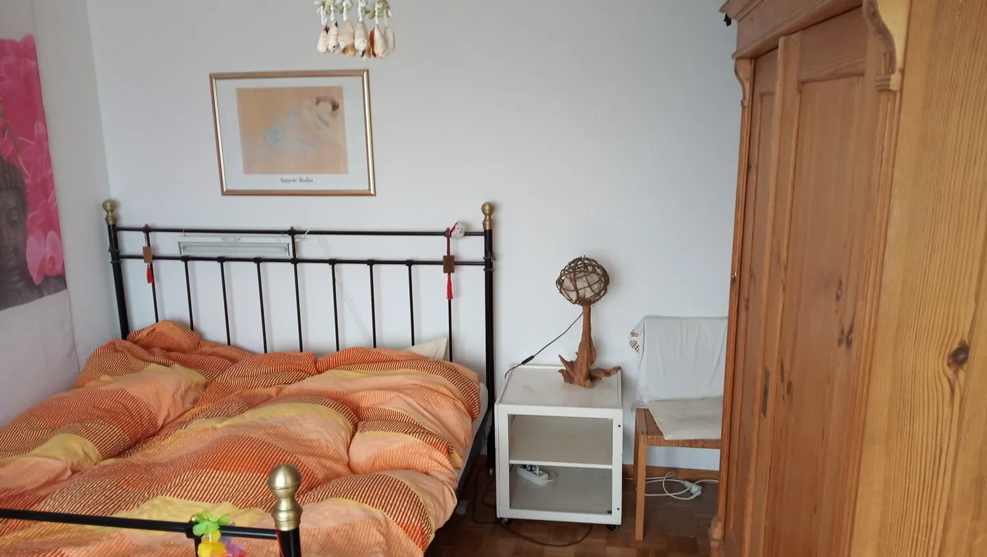 APPARTAMENTO 2 LOCALI A STÄFA (ZH), ARREDATO, TEMPORANEO - Foto 2 di 6