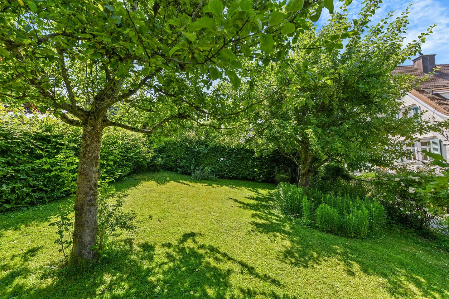 Gioiello residenziale storico con fascino - Casa completamente ristrutturata! - Foto 9 di 10
